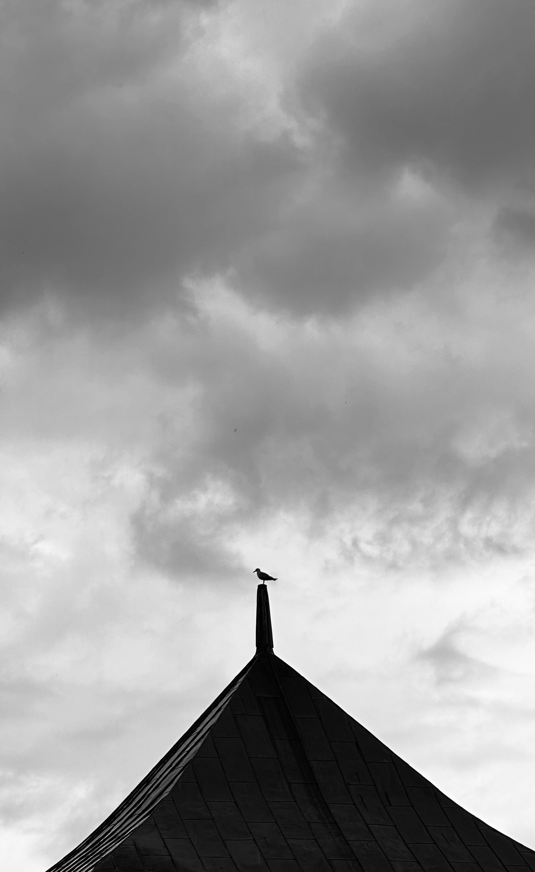 A seagull perched on top of a roof with a cloudy sky behind.