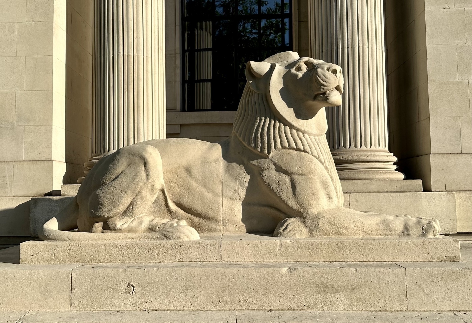 A stone lion, lying down, basking in the evening sun.