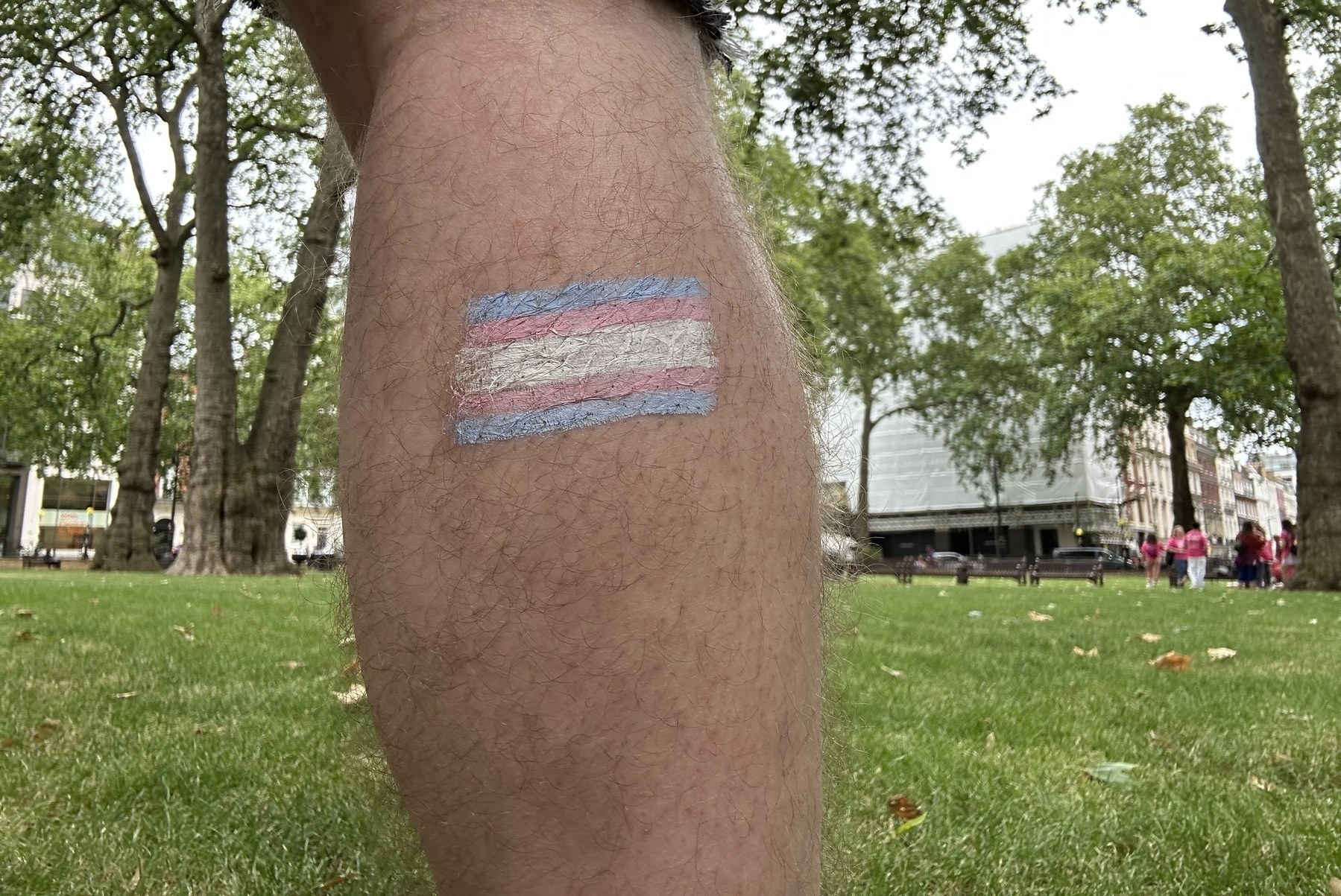 A trans pride flag on the back of a leg, in a park.