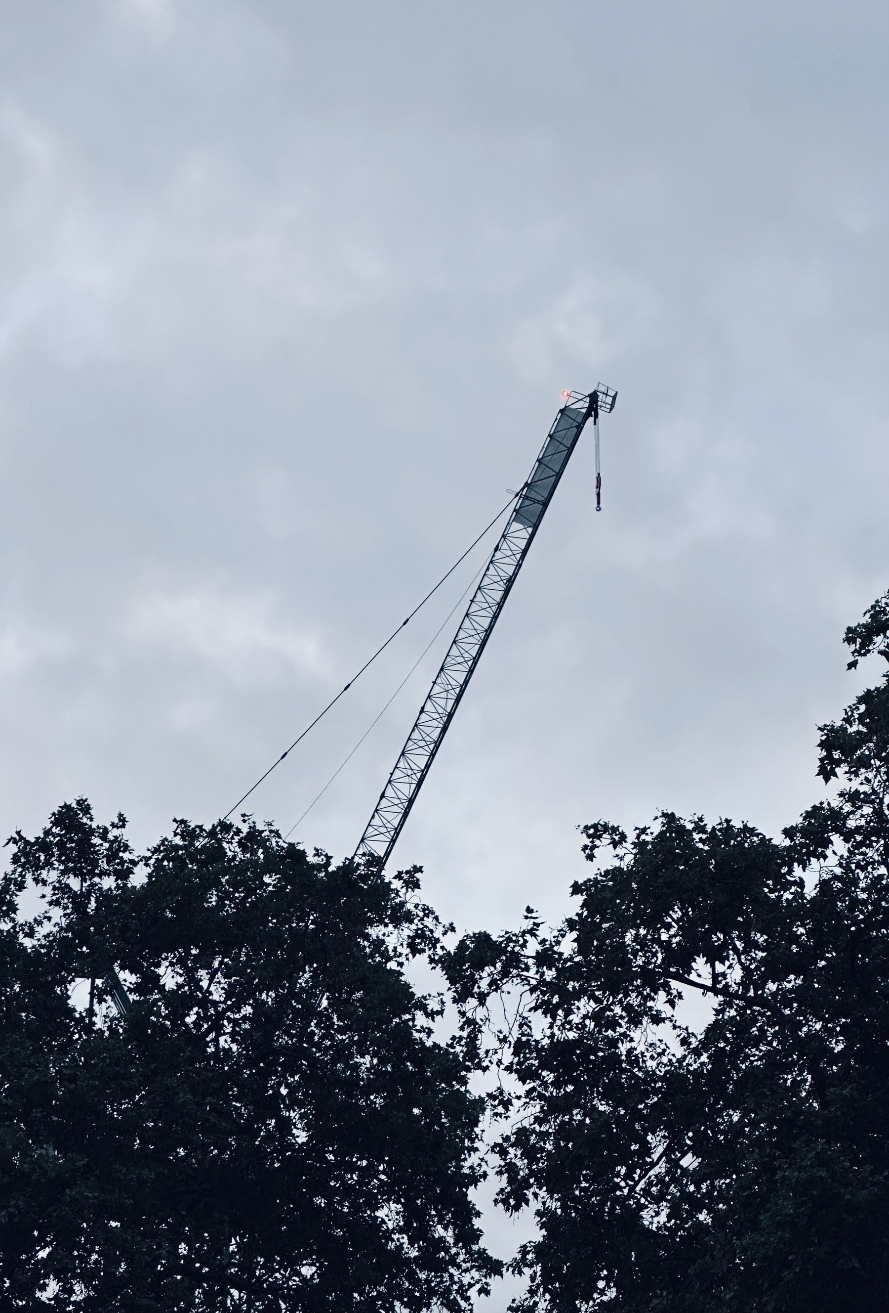 A crane against a cloudy grey sky, with silhouetted trees in the foreground.