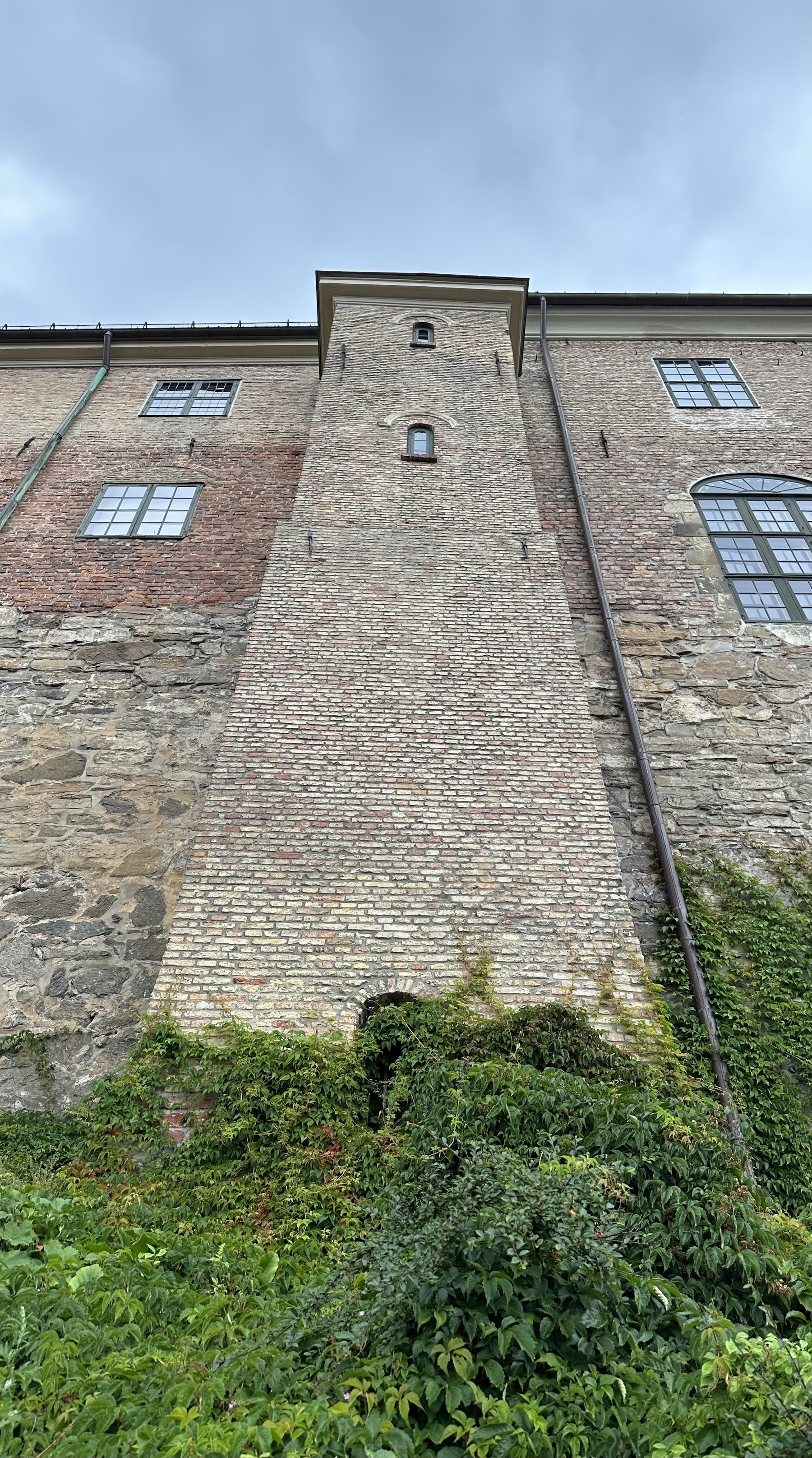 Looking up at Akershus fortress in Oslo. Foliage at the bottom, then brickwork growing out of that, reaching up in to a cloudy sky.