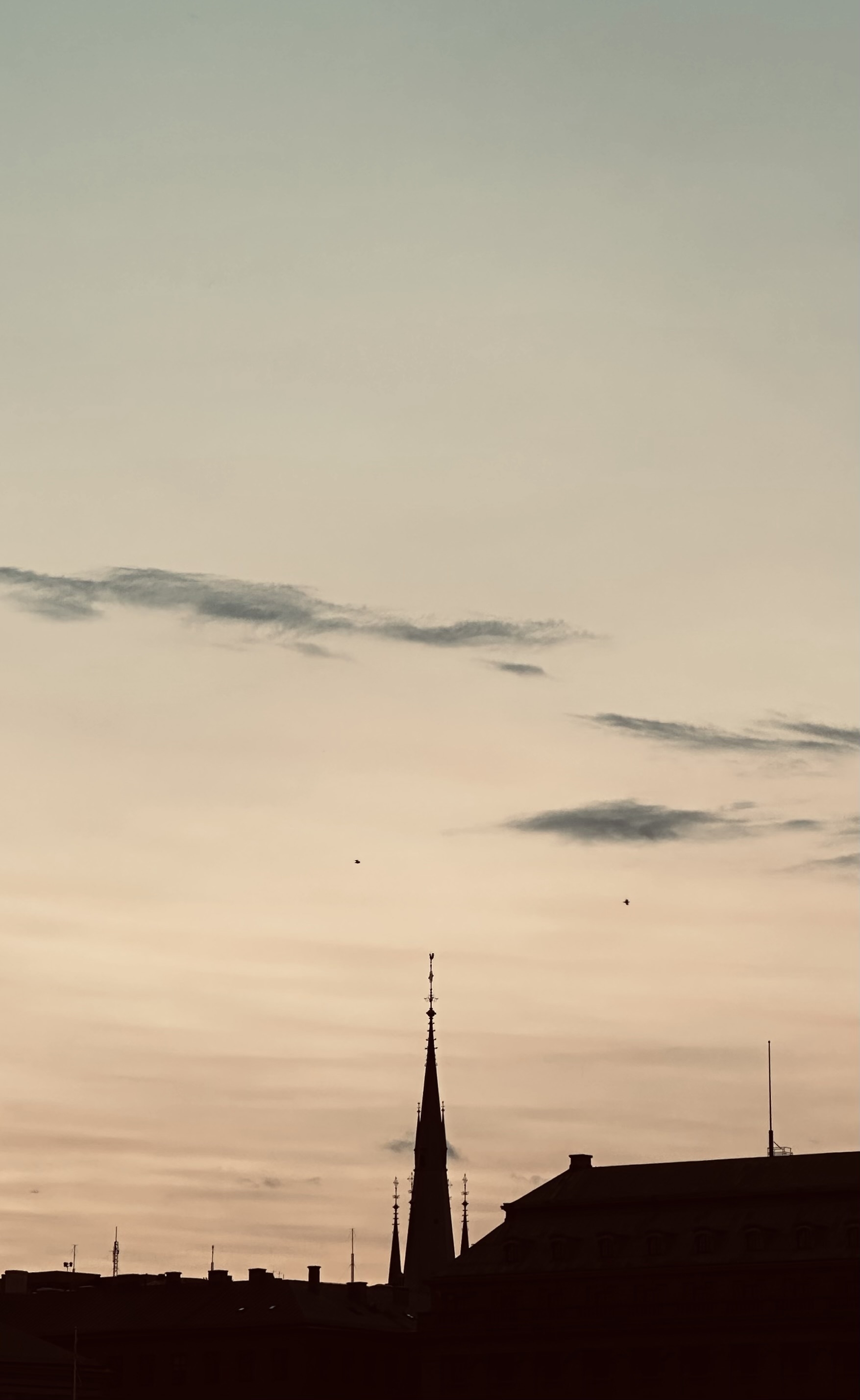 A spire in silhouette against a pale sky.