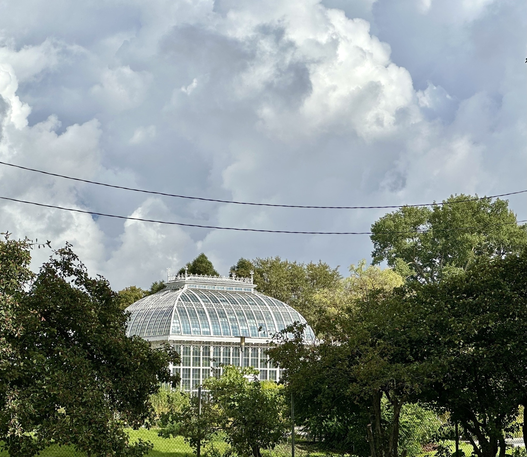 A glasshouse behind some trees, below a cloudy sky.