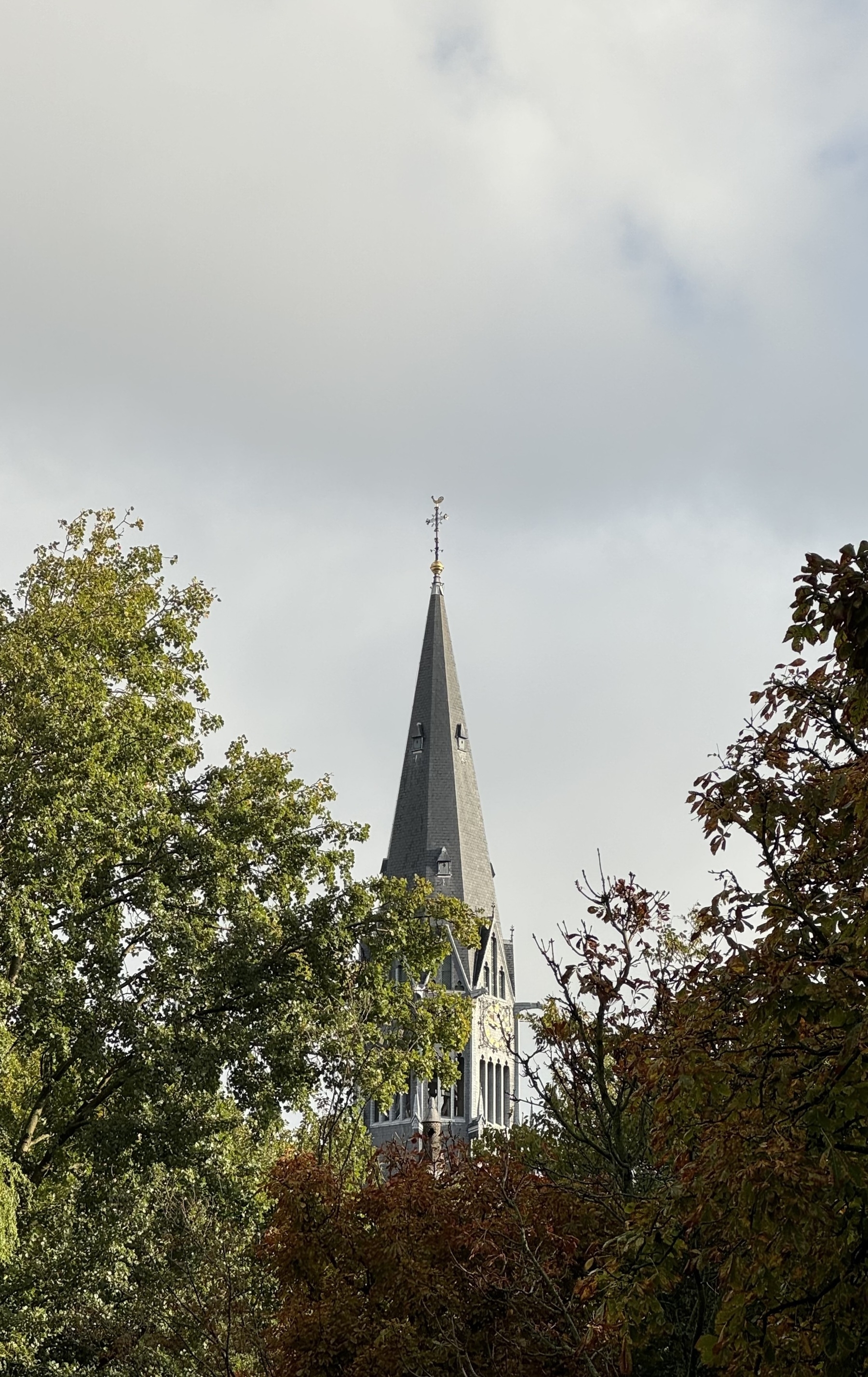 The top of a spire peeking through the trees.