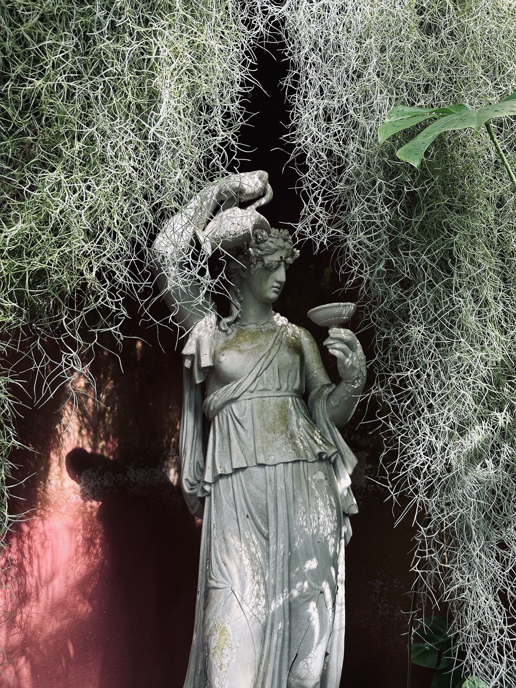 A statue partially hidden by foliage.