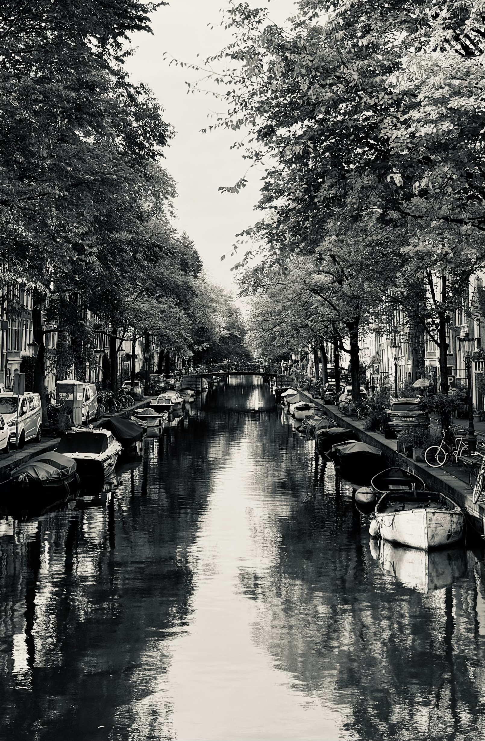 Looking down Egelantiersgracht in Amsterdam. Boats on either side of the canal with trees above.