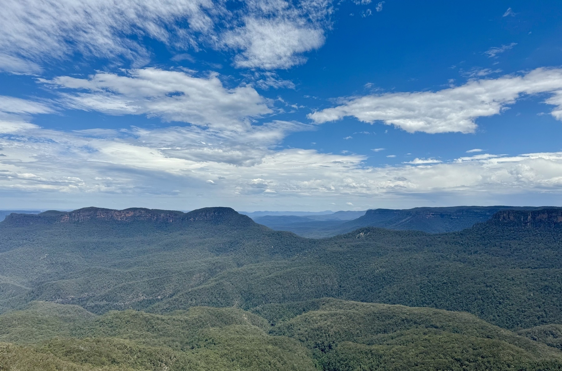 Looking down at eucalyptus forests from Echo Point in the Blue Mountains. The forests stretch to the horizon, under a blue sky with white clouds.