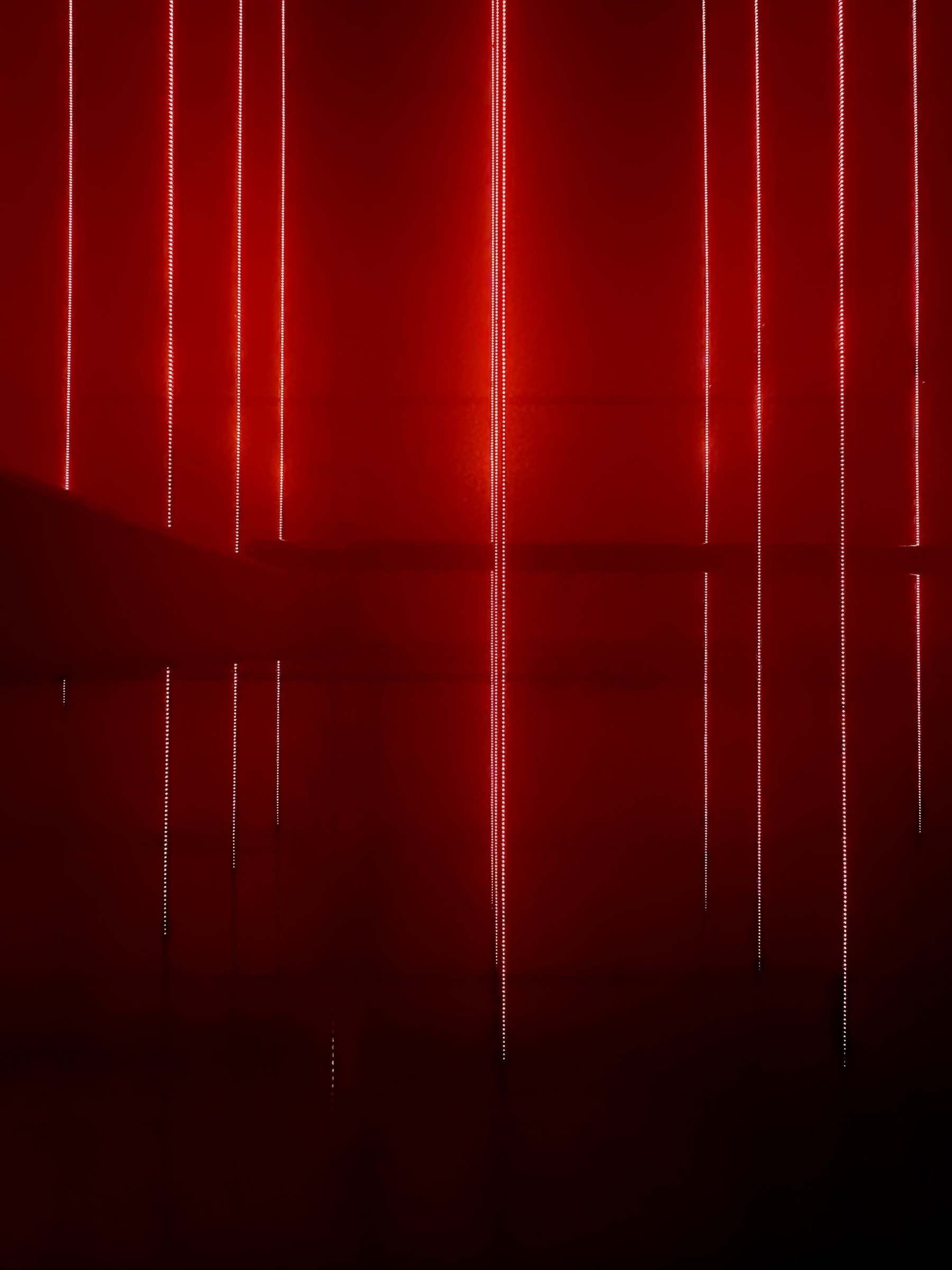 Vertical red stripes of LED light in a dark room.