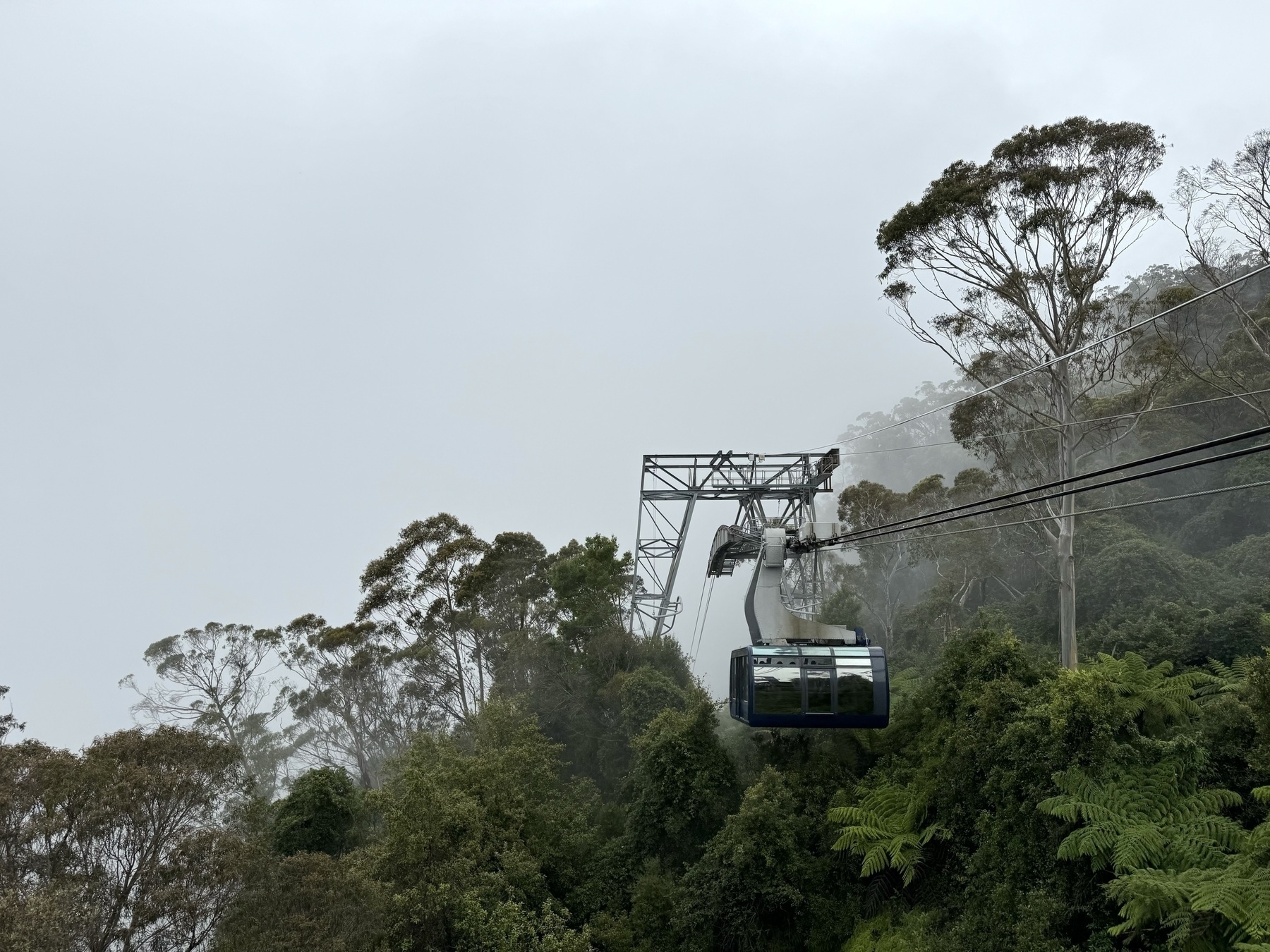 A cablecar descending in to a misty forest.