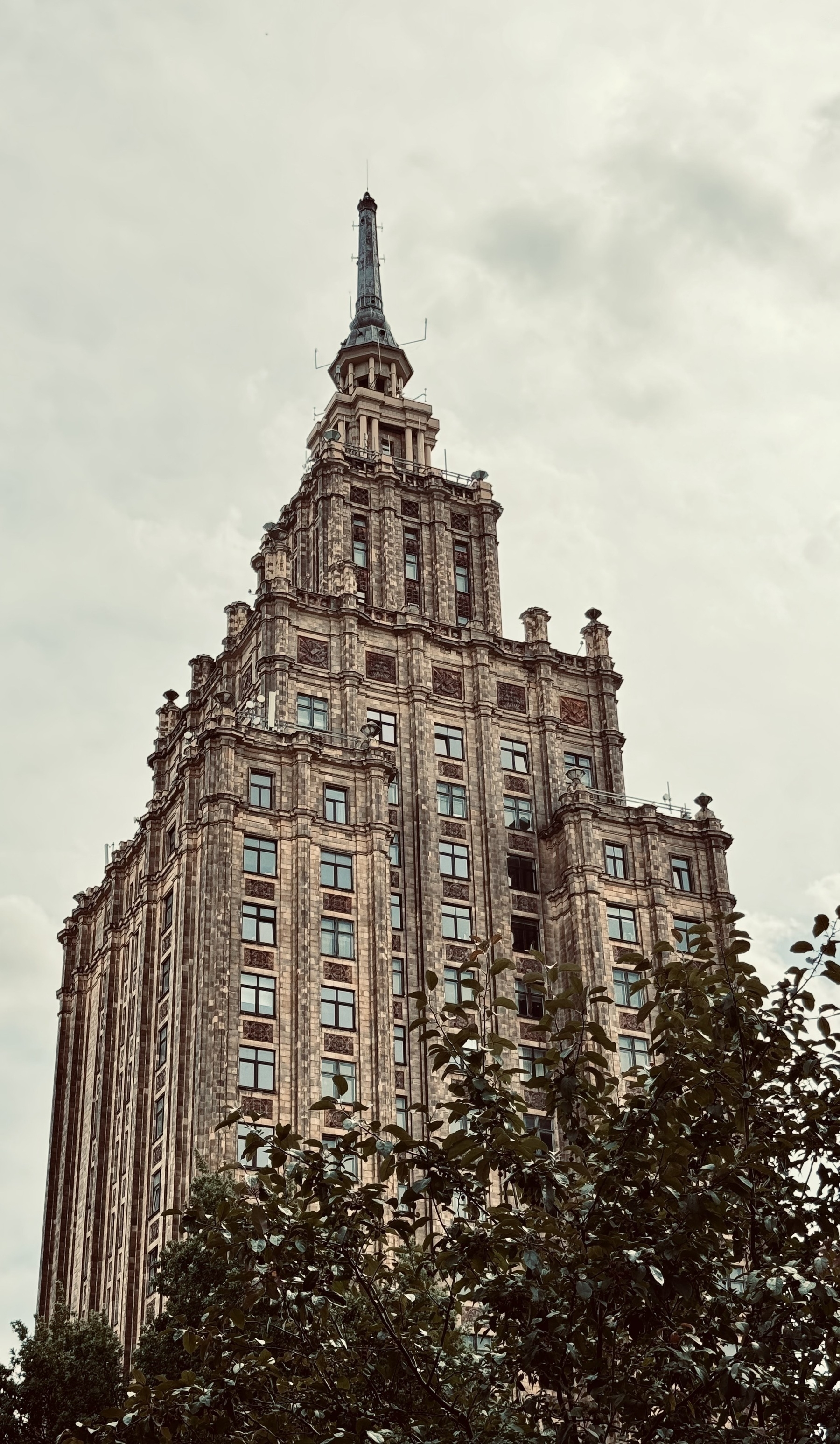 A tall building rising behind a tree, gradually getting narrower as it rises to a spire.