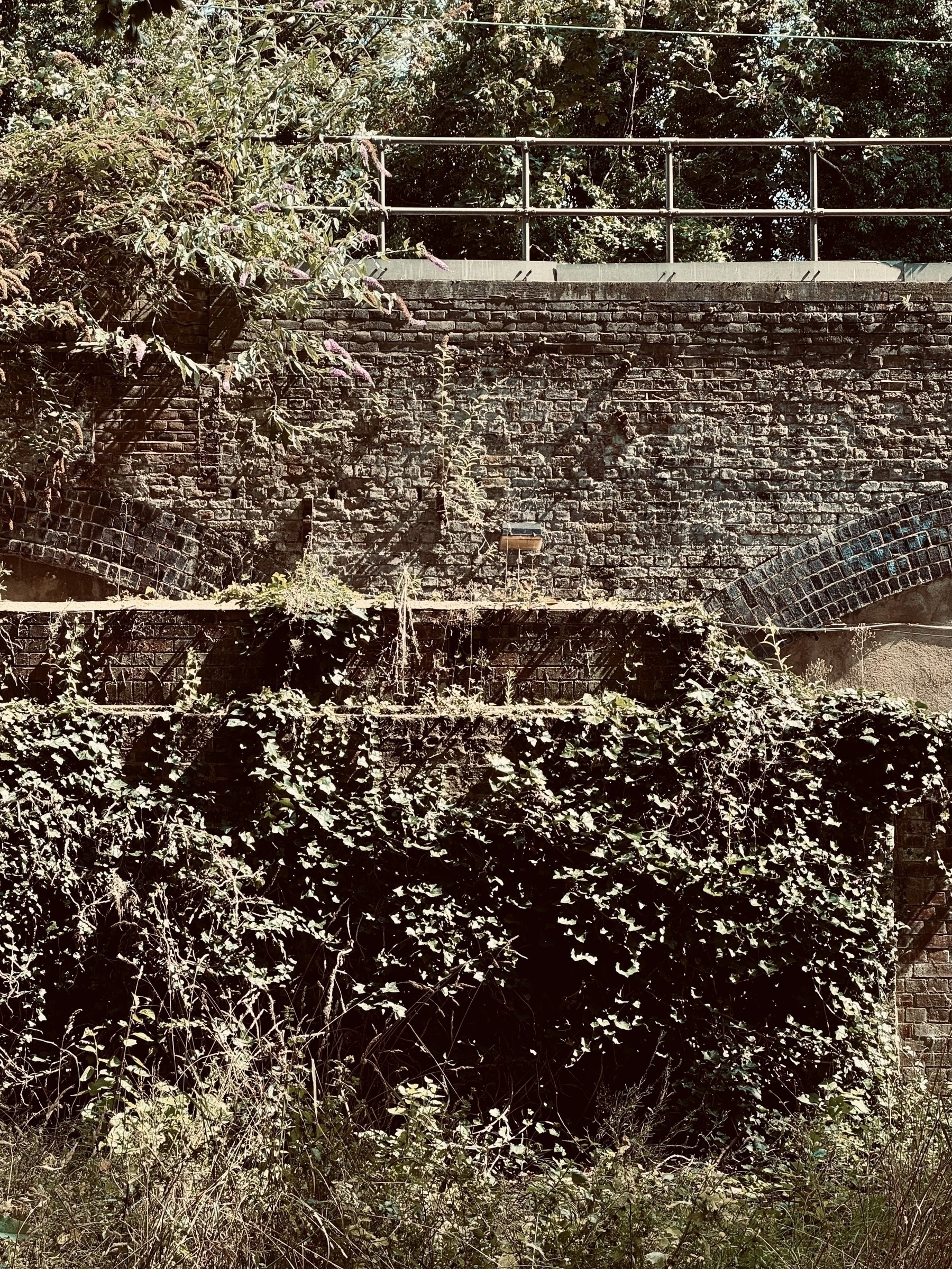 Overgrown brickwork of a railway viaduct.