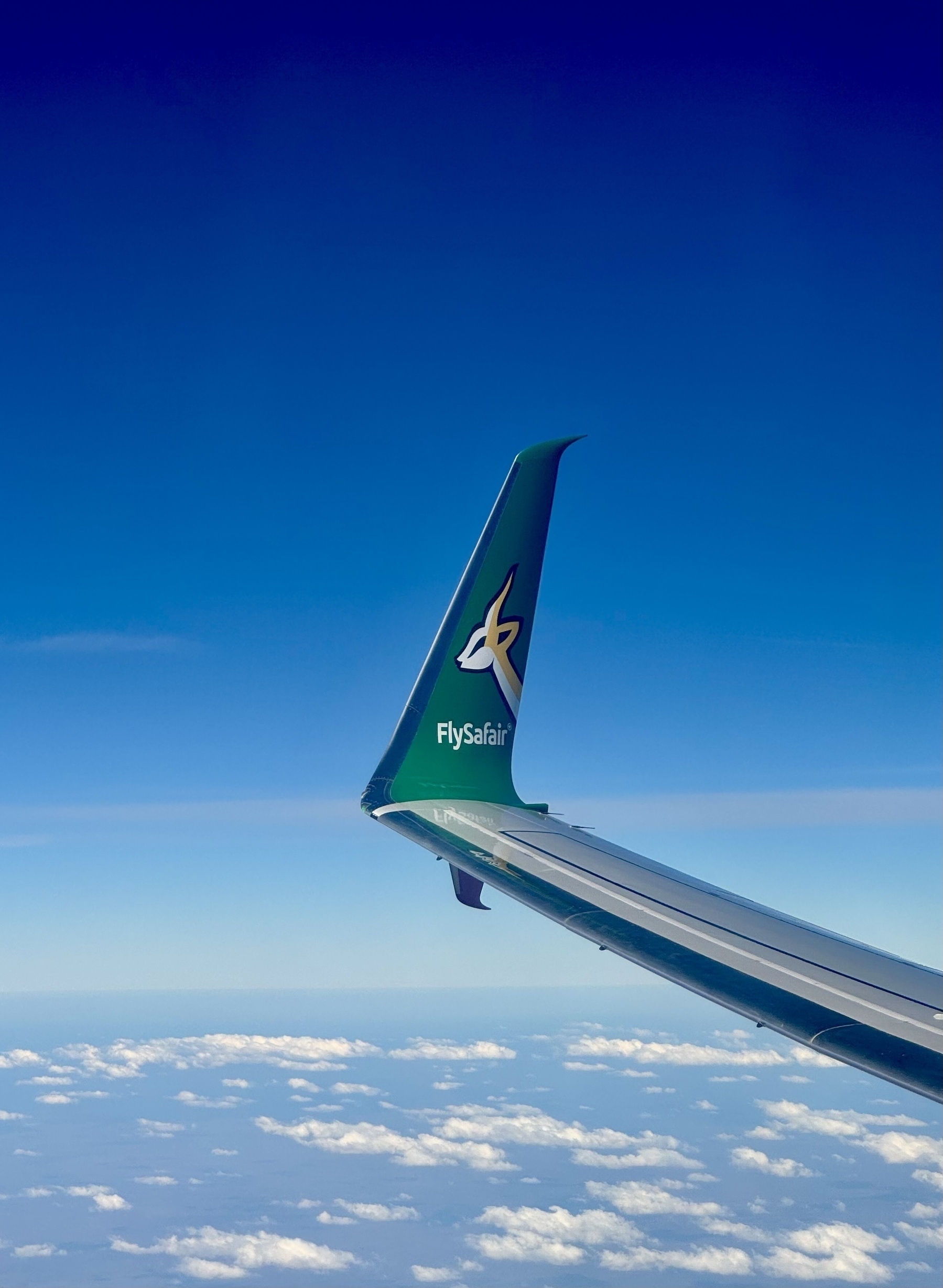 Photo of the wingtip of a plane in flight against a blue sky. The wingtip says “FlySafair”