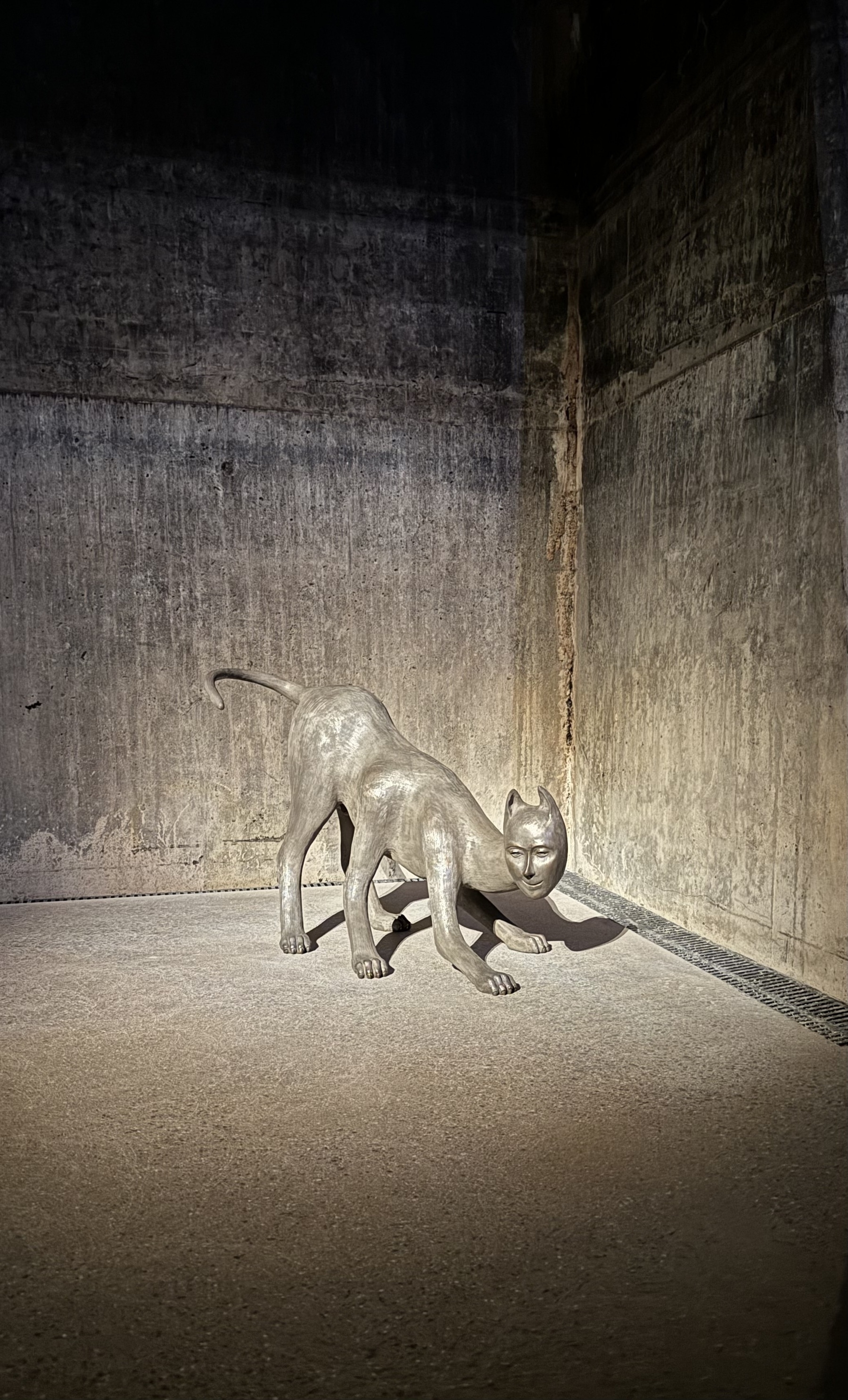 Sculpture of a six legged cat with a human face. From the Louise Bourgeois exhibition at Art Gallery NSW.