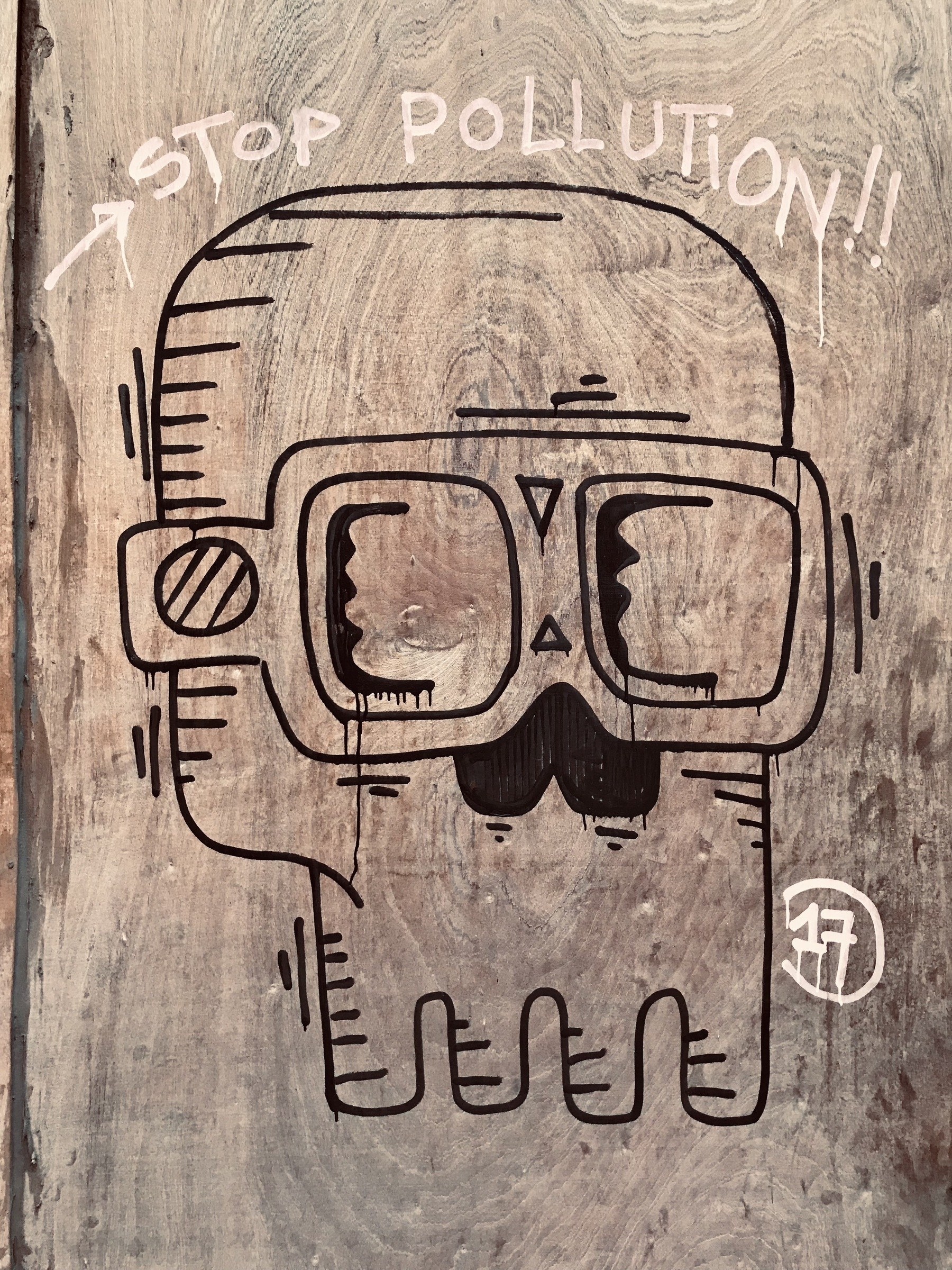 A graffiti skull wearing glasses with the words “stop pollution” above.