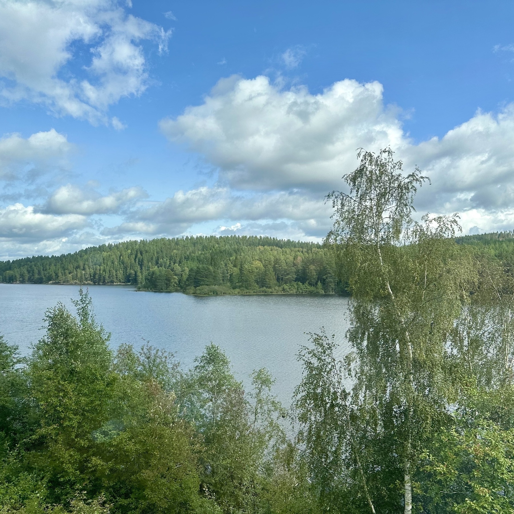View of a lake with trees on the far shore below a blue sky with clouds. From the train to Stockholm from Oslo.