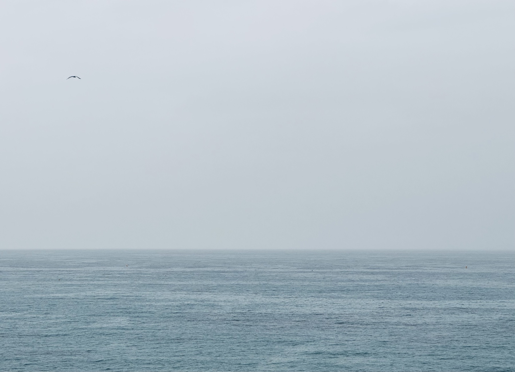 The Mediterranean Sea beneath a cloudy sky, with a lone seagull flying.