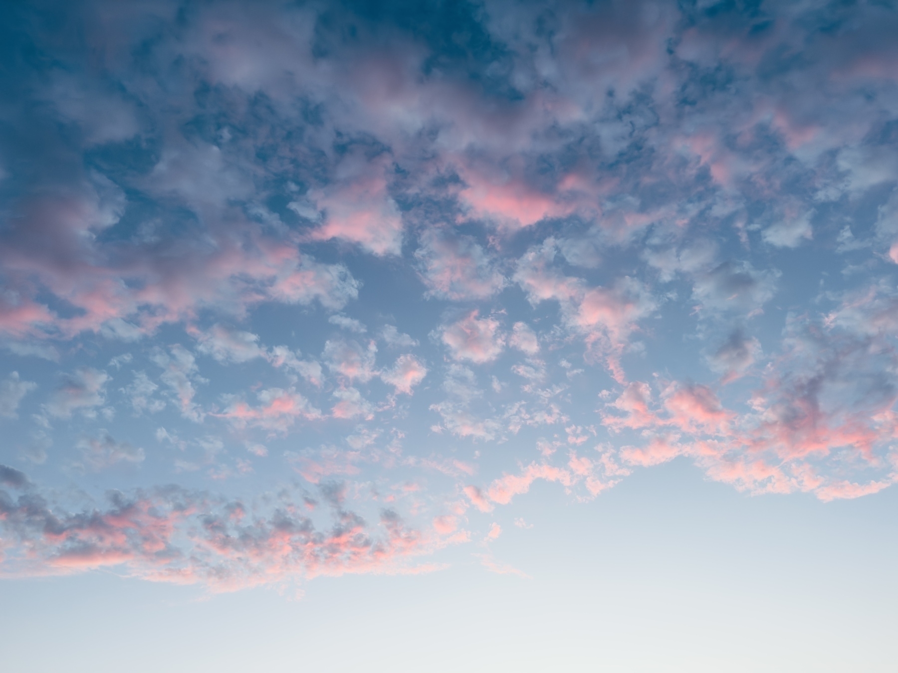 Fluffy clouds glowing pink at sunset.