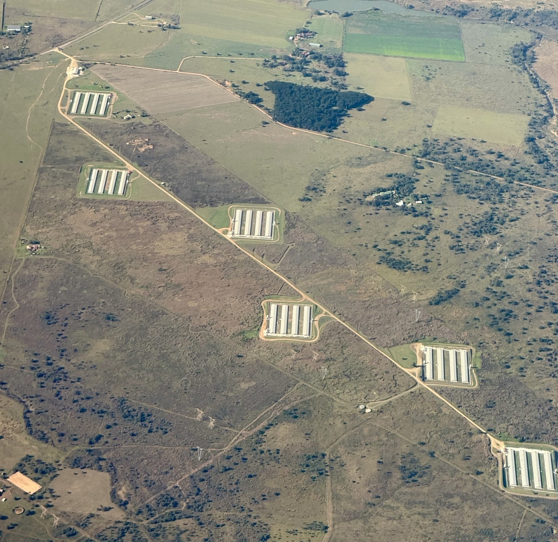 Neatly arranged buildings in a diagonal pattern, seen from a plane.