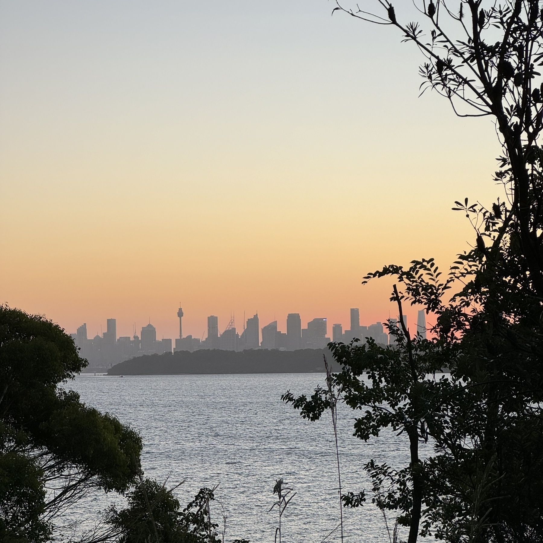 The distant Sydney skyline across water at sunset.