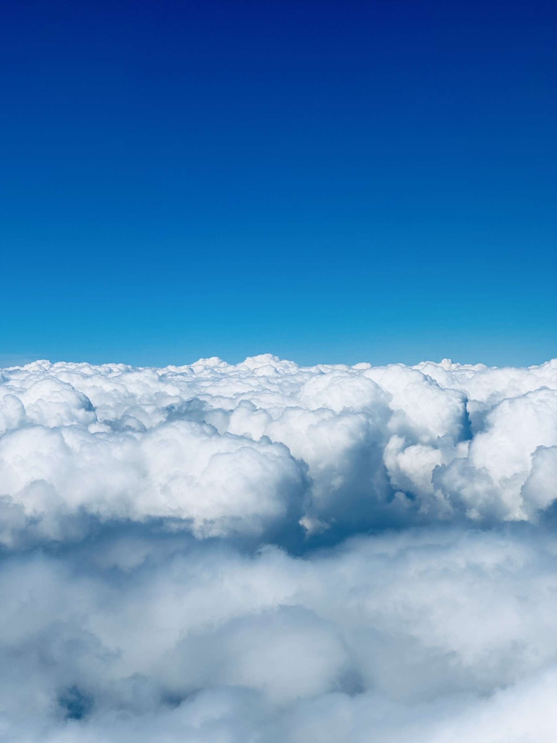 The tops of fluffy white clouds beneath a bright blue sky.