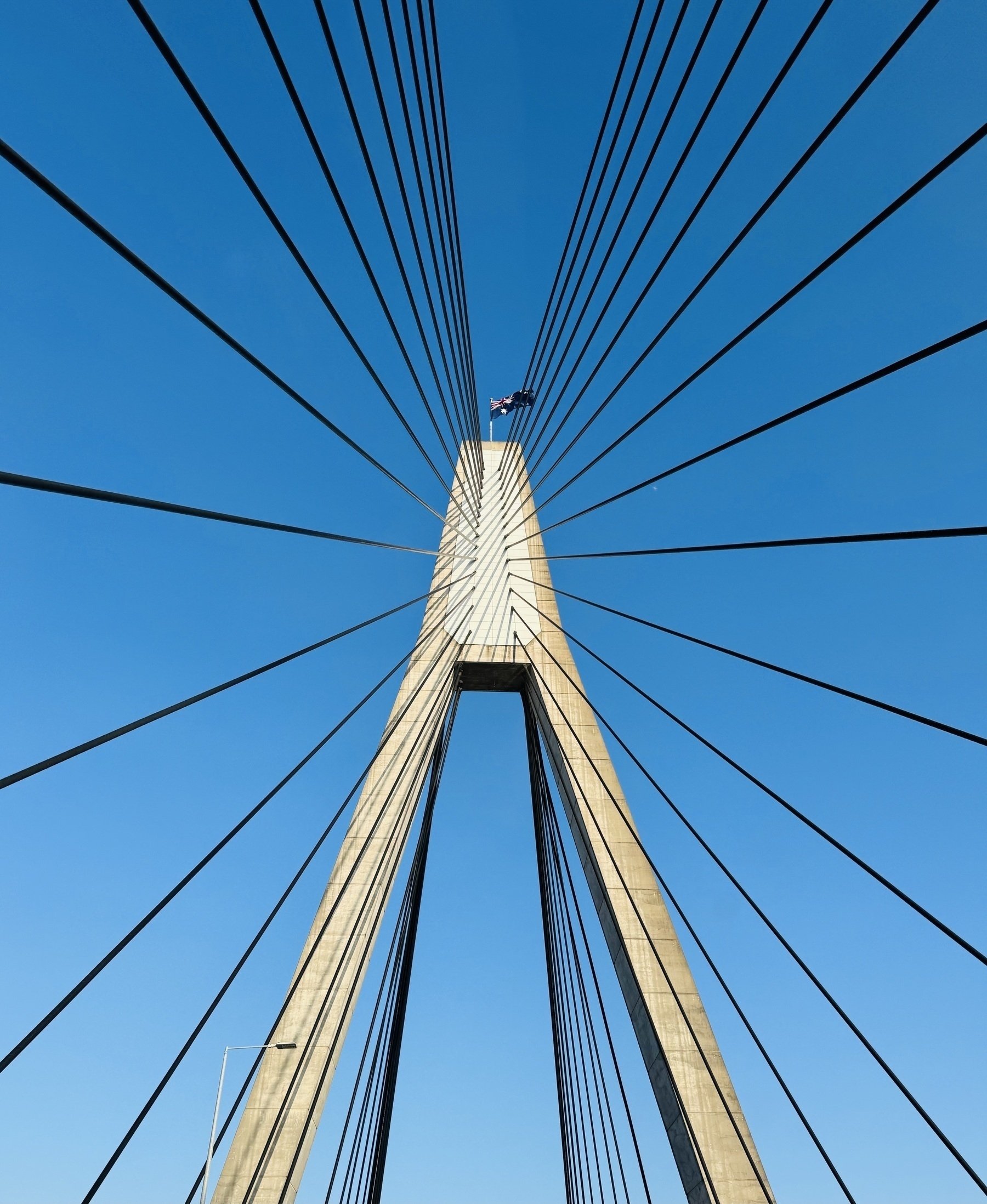 Cables radiating out from one of the towers of the ANZAC bridge in Sydney.