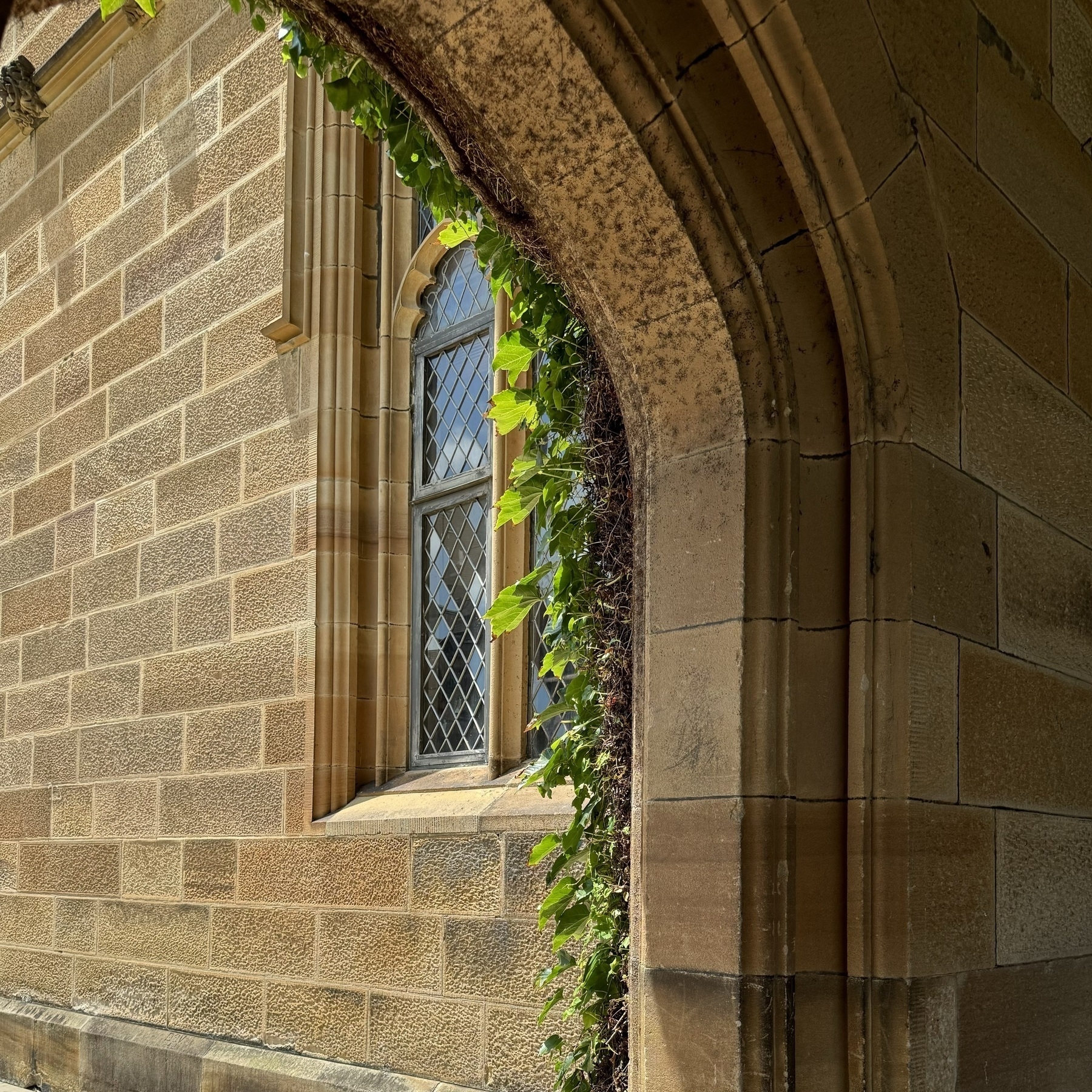 A window in a sandstone wall partially obscured by a stone arch with leaves growing along it.