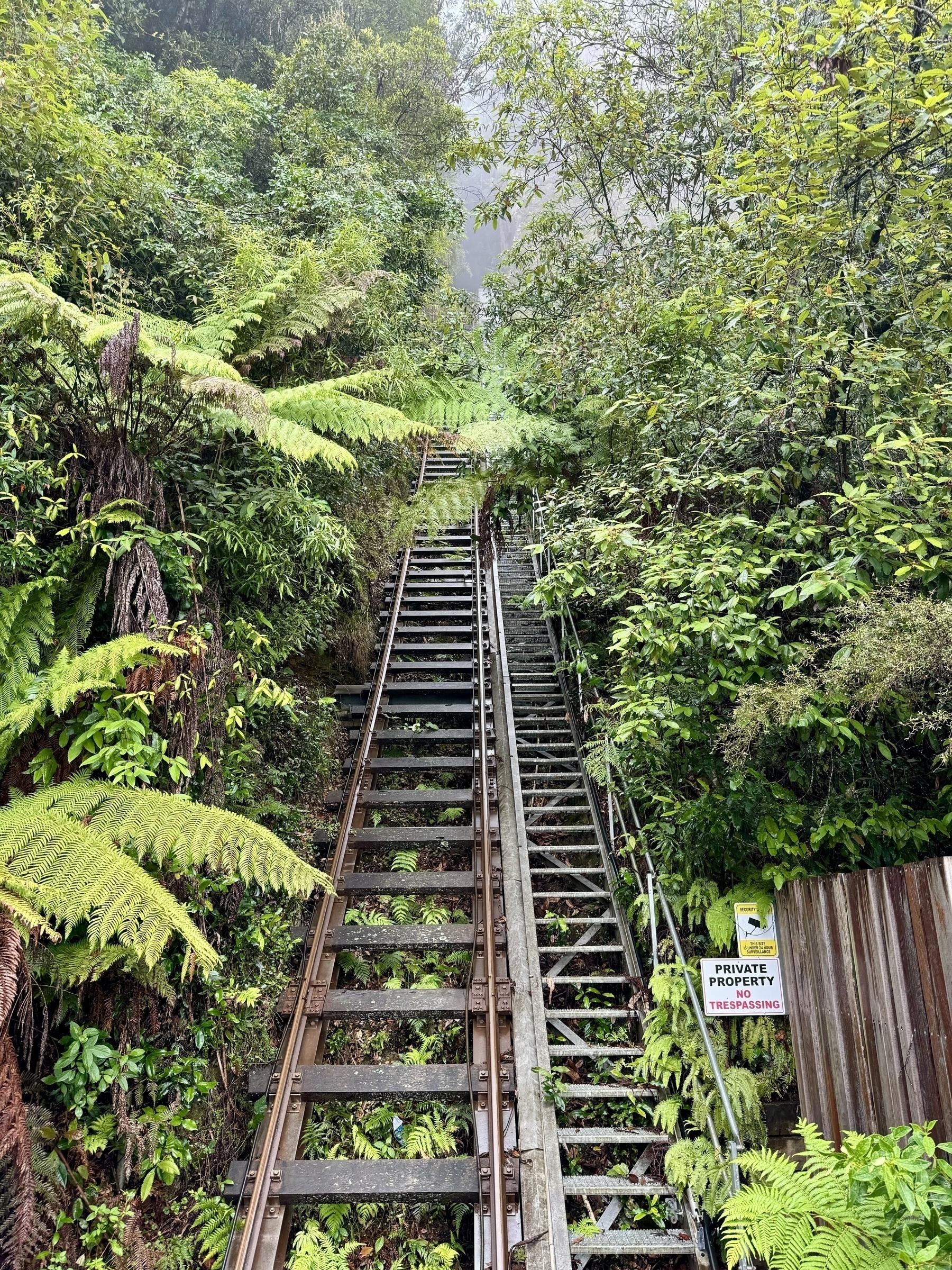 A steep railway ascending in to a rainforest.