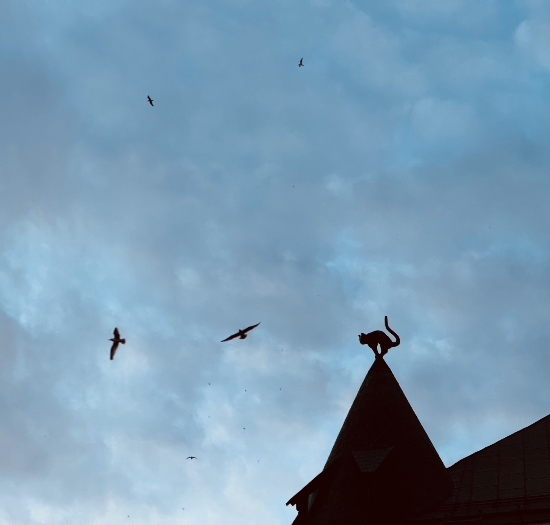 A statue of a cat on a rooftop, with birds flying in the sky next to it.