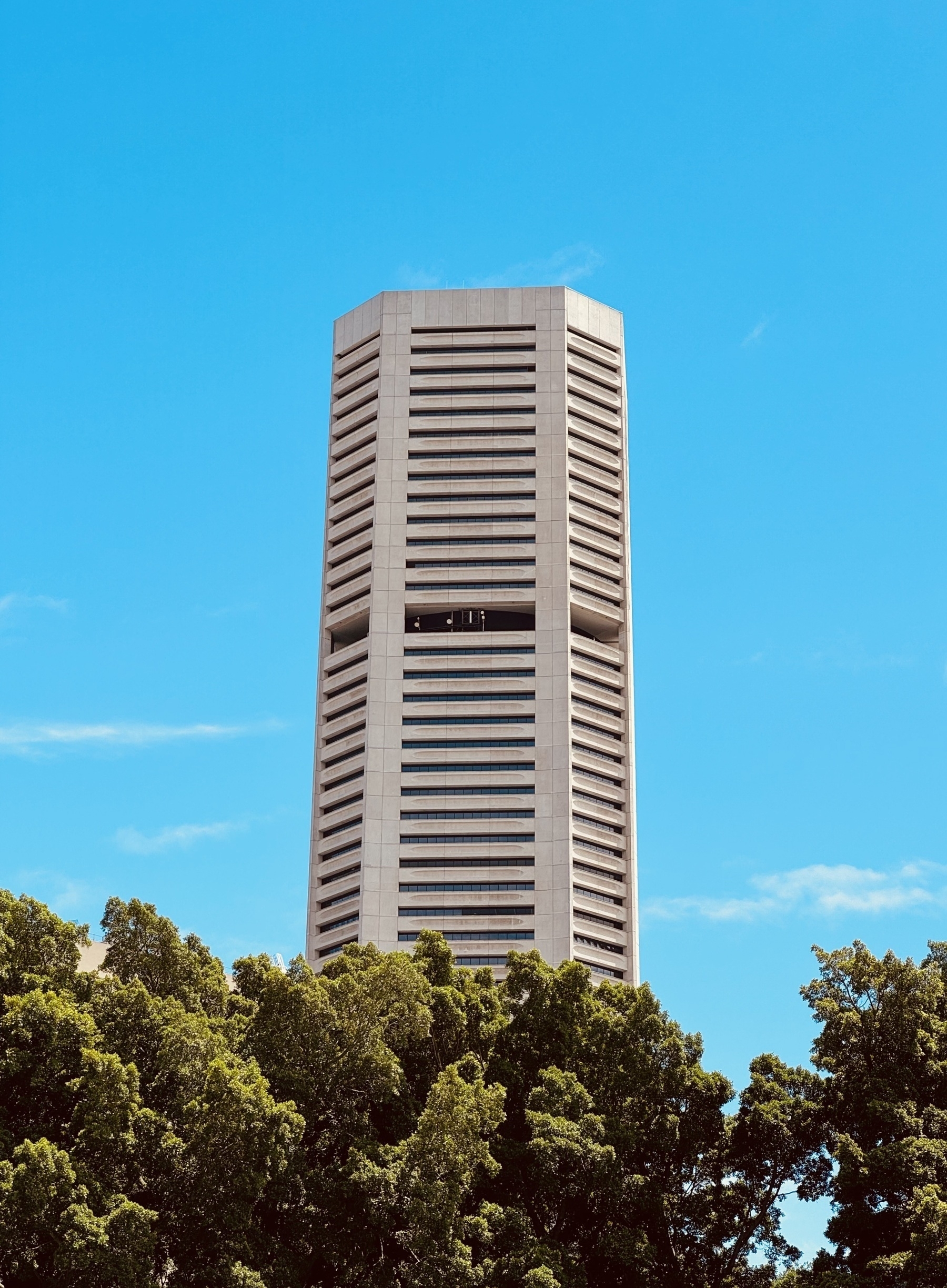 A tower block against a blue sky, with trees at the base.