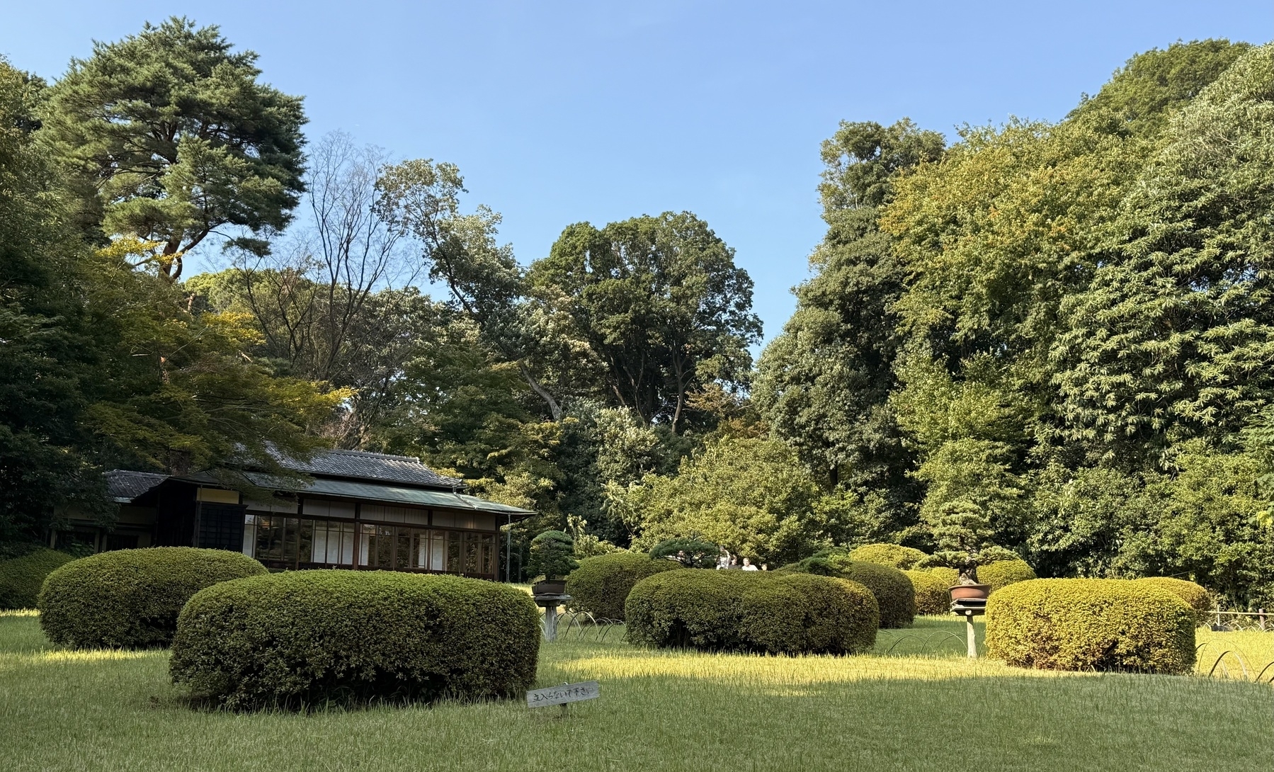 A small building nestled amongst trees and shrubs.