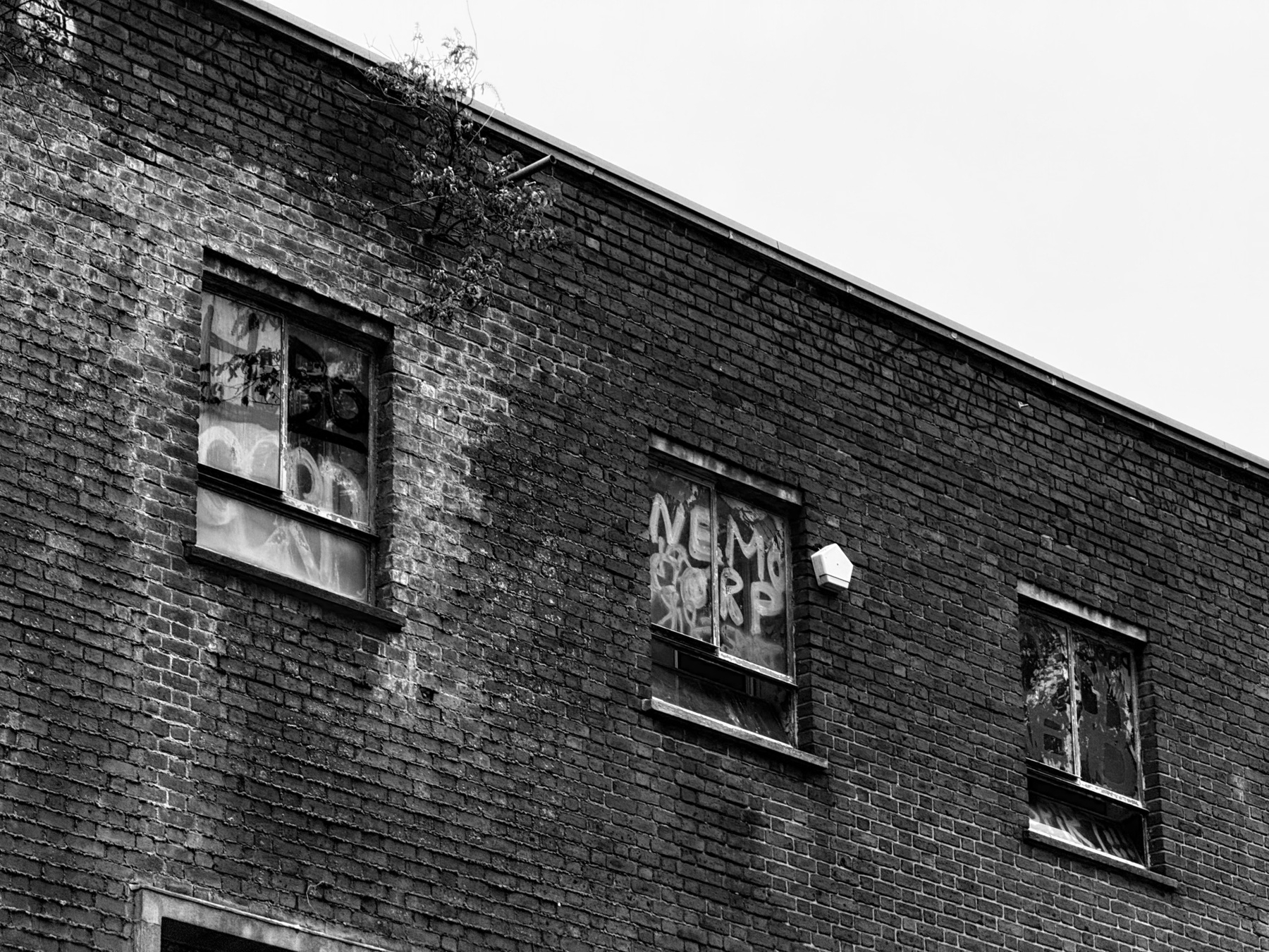 Black and white photo of broken windows in an abandoned brick building.