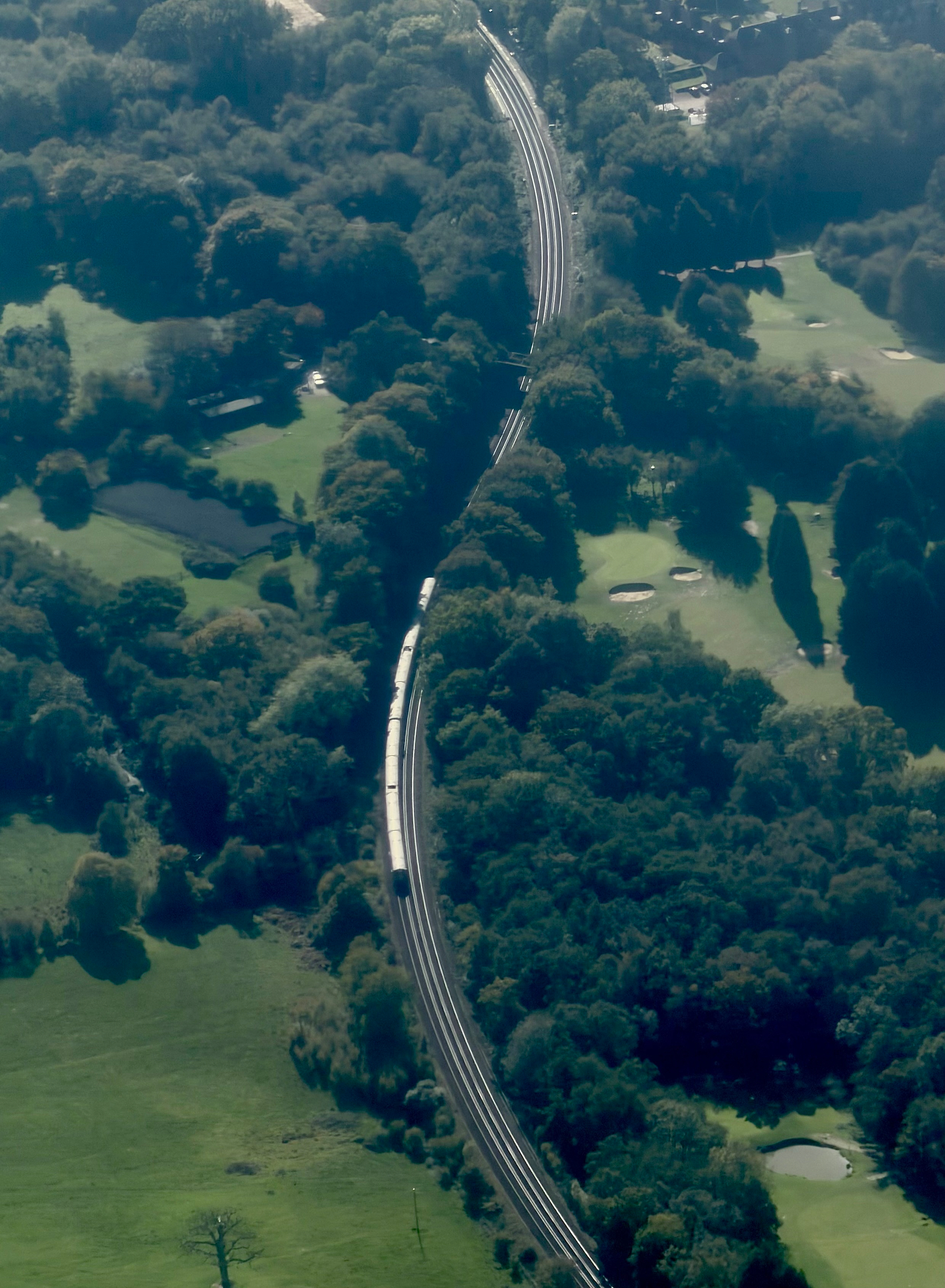 A train snaking through trees and fields.
