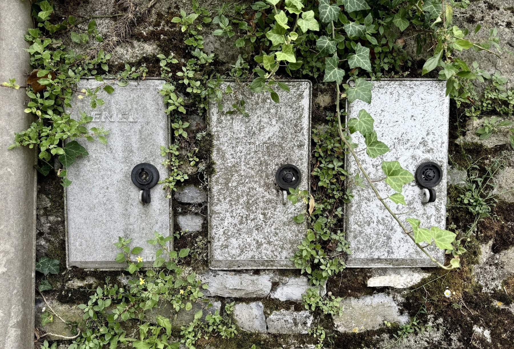 Three overgrown electric boxes in a stone wall.