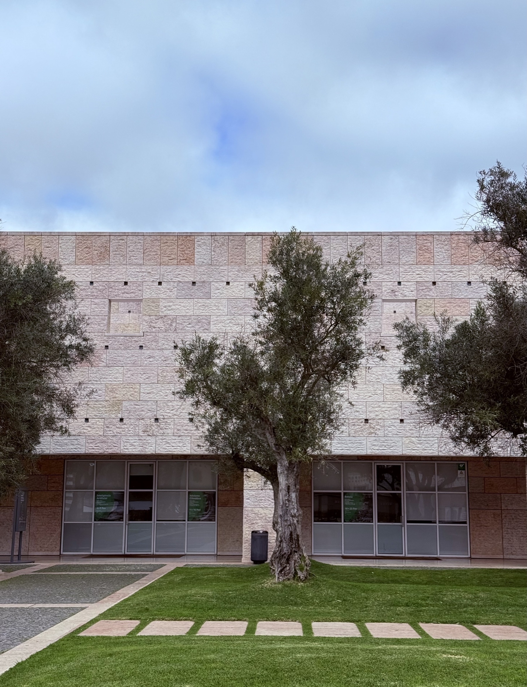 An olive tree growing out of a lawn in front of a stone building.