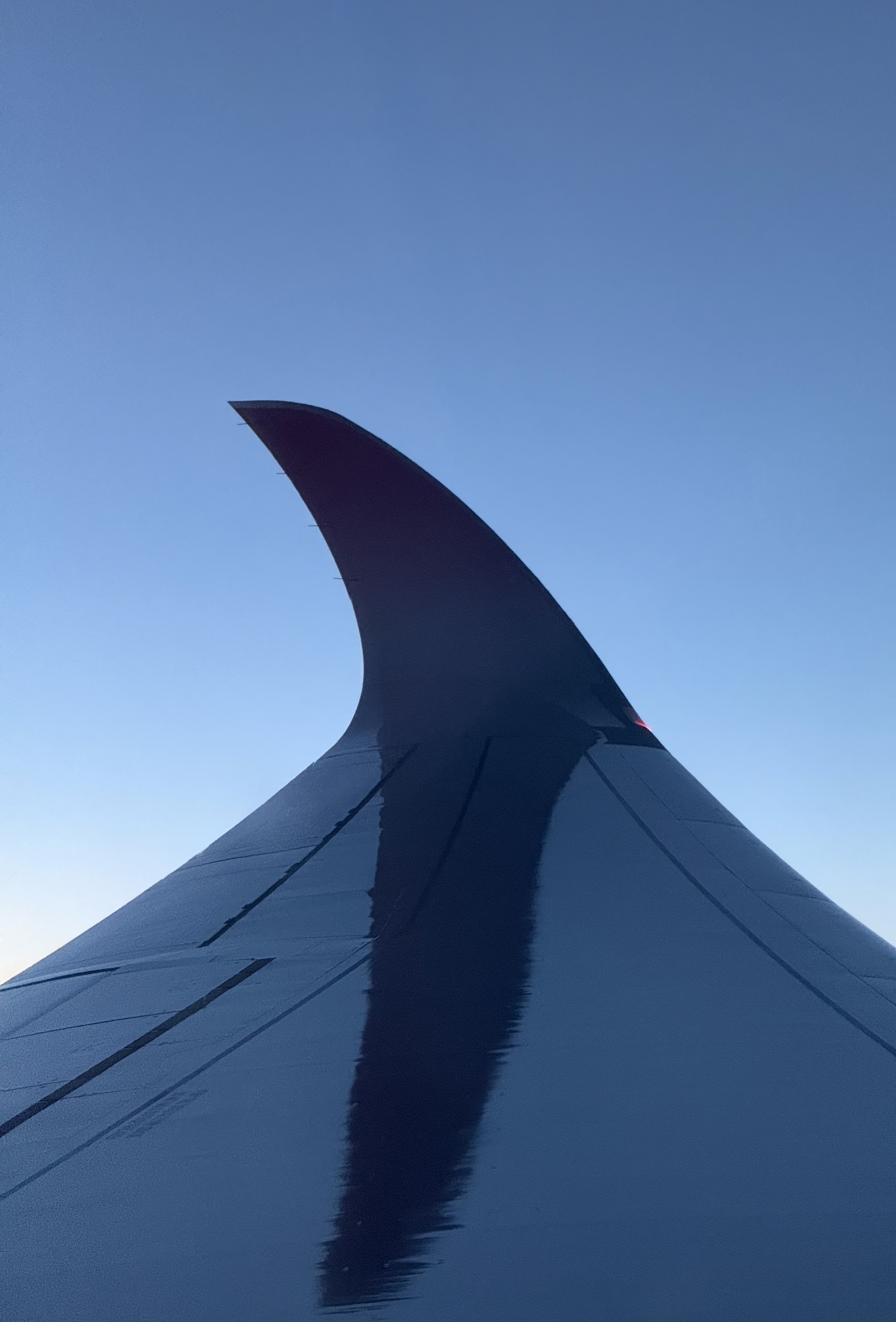 A winglet against a blue sky, looking like a shark’s fin.