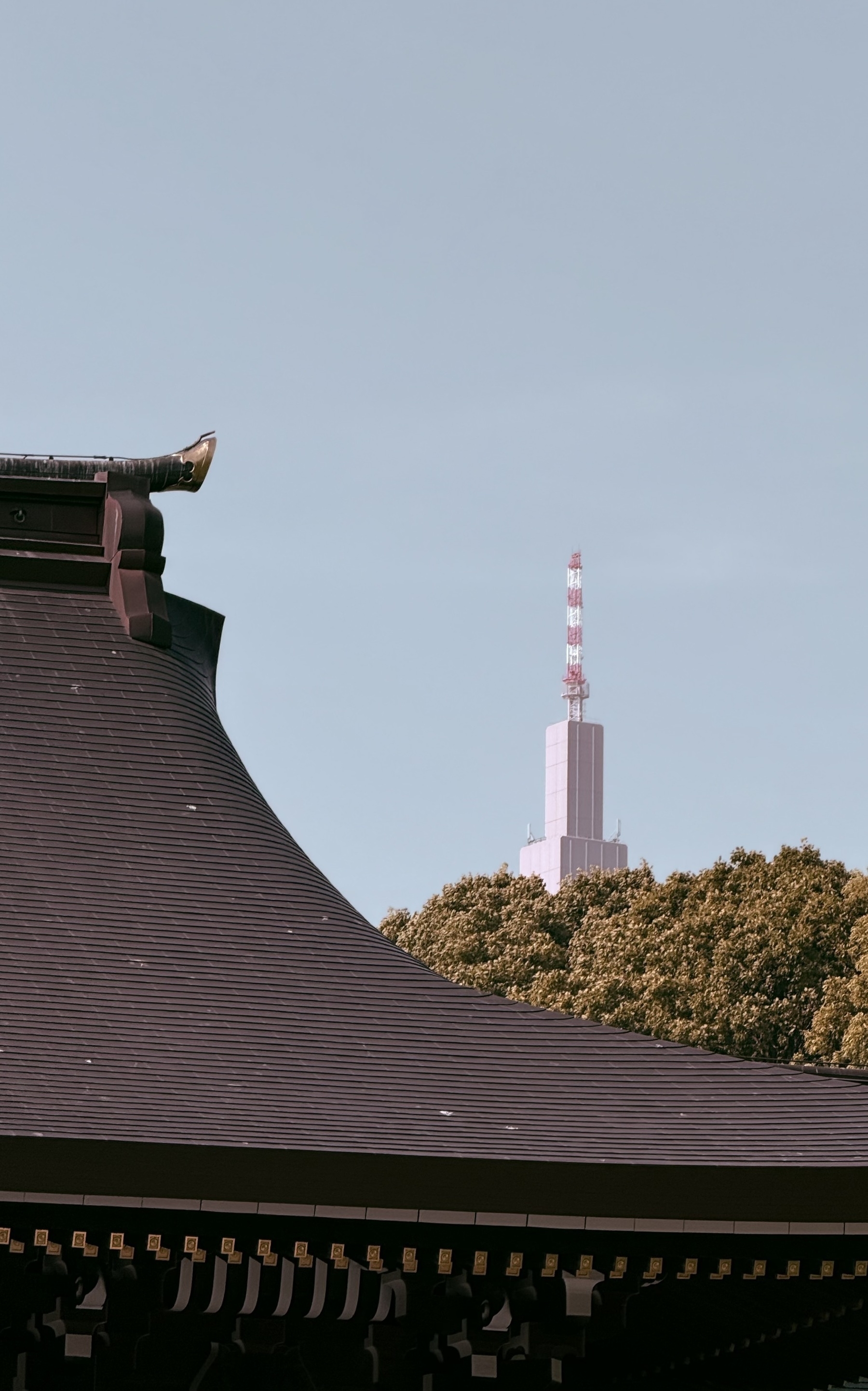 A curved shrine roof with trees and the top of a tower behind.