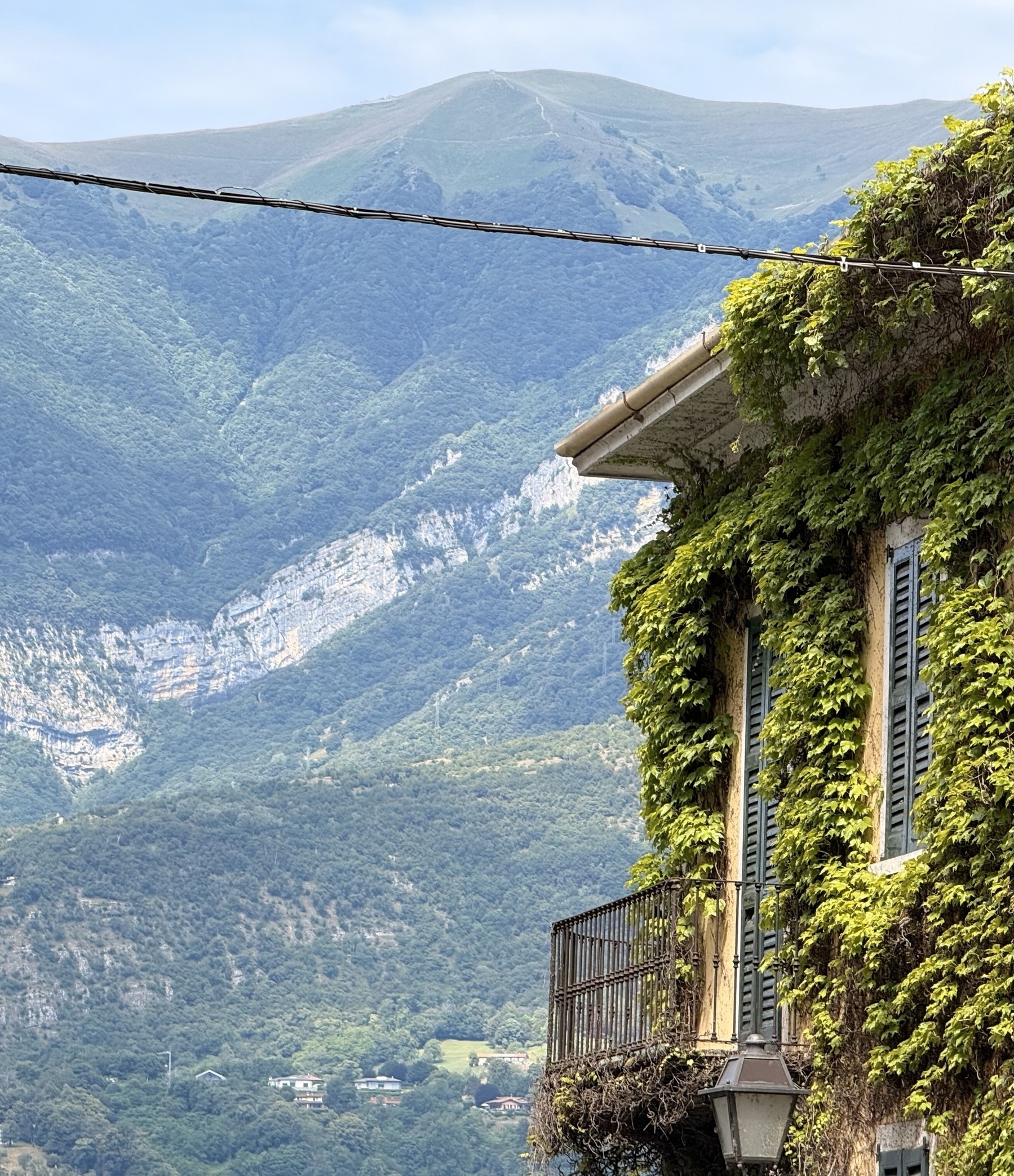 A building covered in plants with a mountain behind, in the distance.