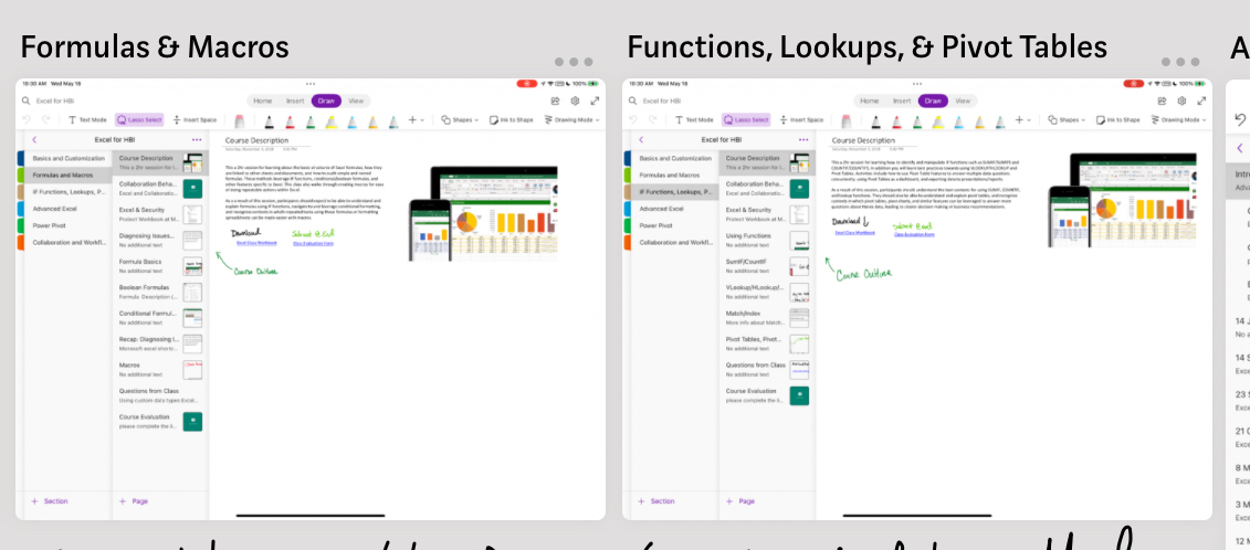 screenshot of two Microsoft OneNote notebooks displaying Excel sessions