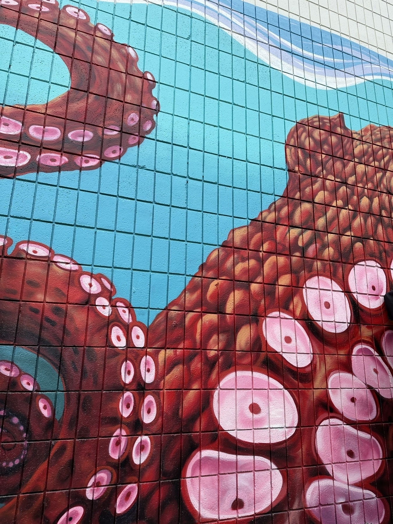 Wall art octopus