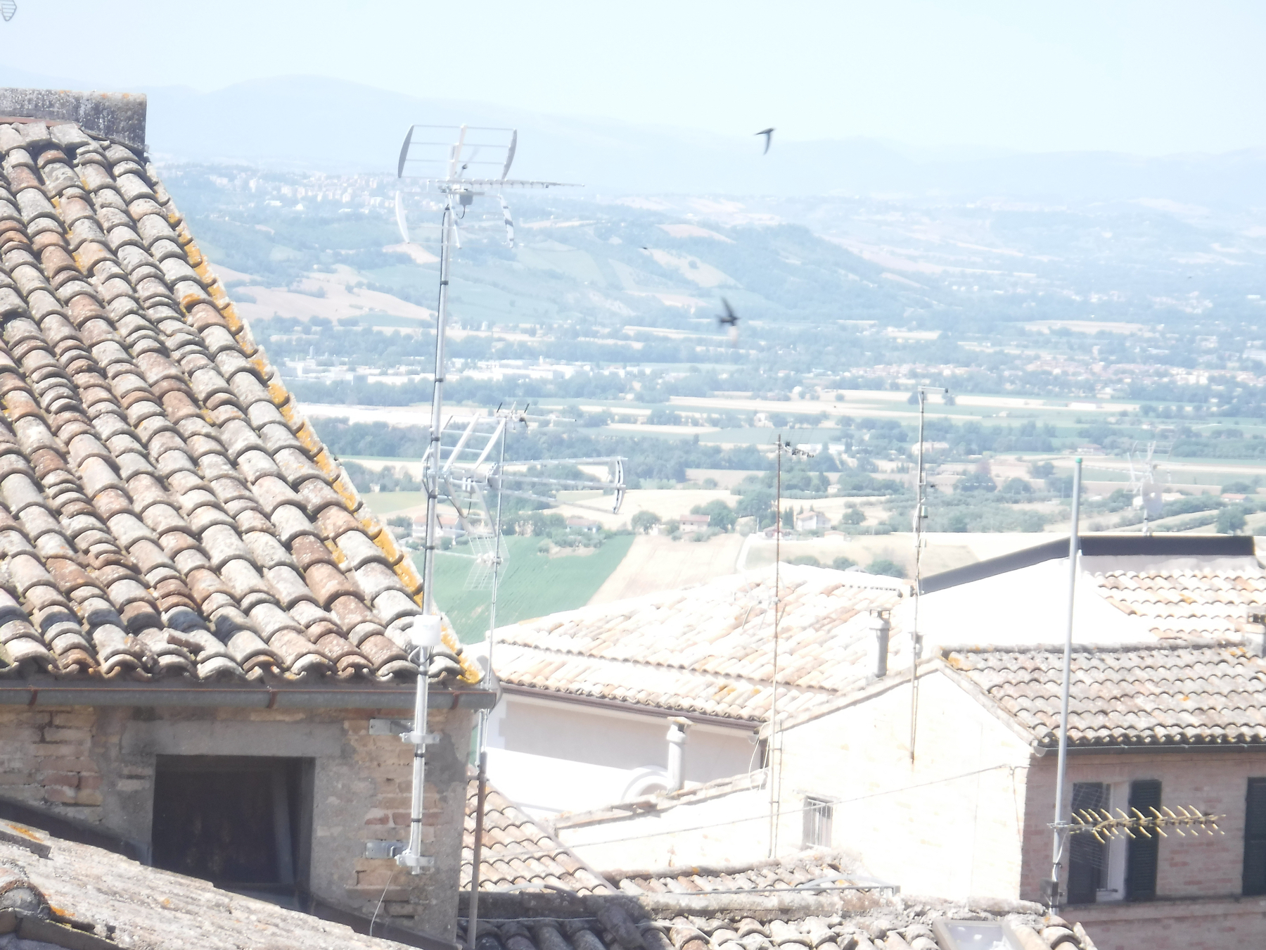 A scenic view showcases tiled rooftops, antennas, and birds above a vast landscape of hills and fields in the background.