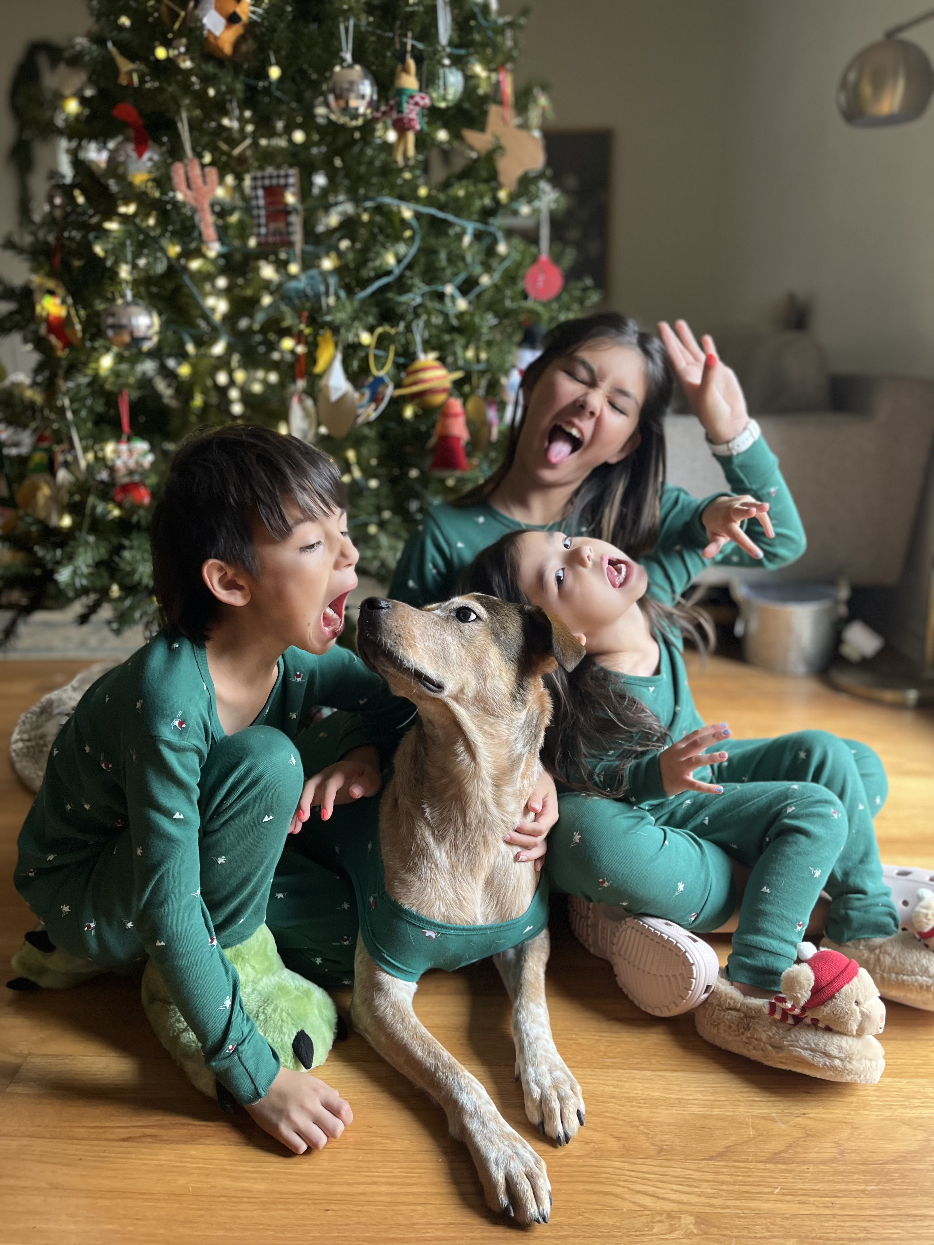 Kids and a dog around a Christmas tree