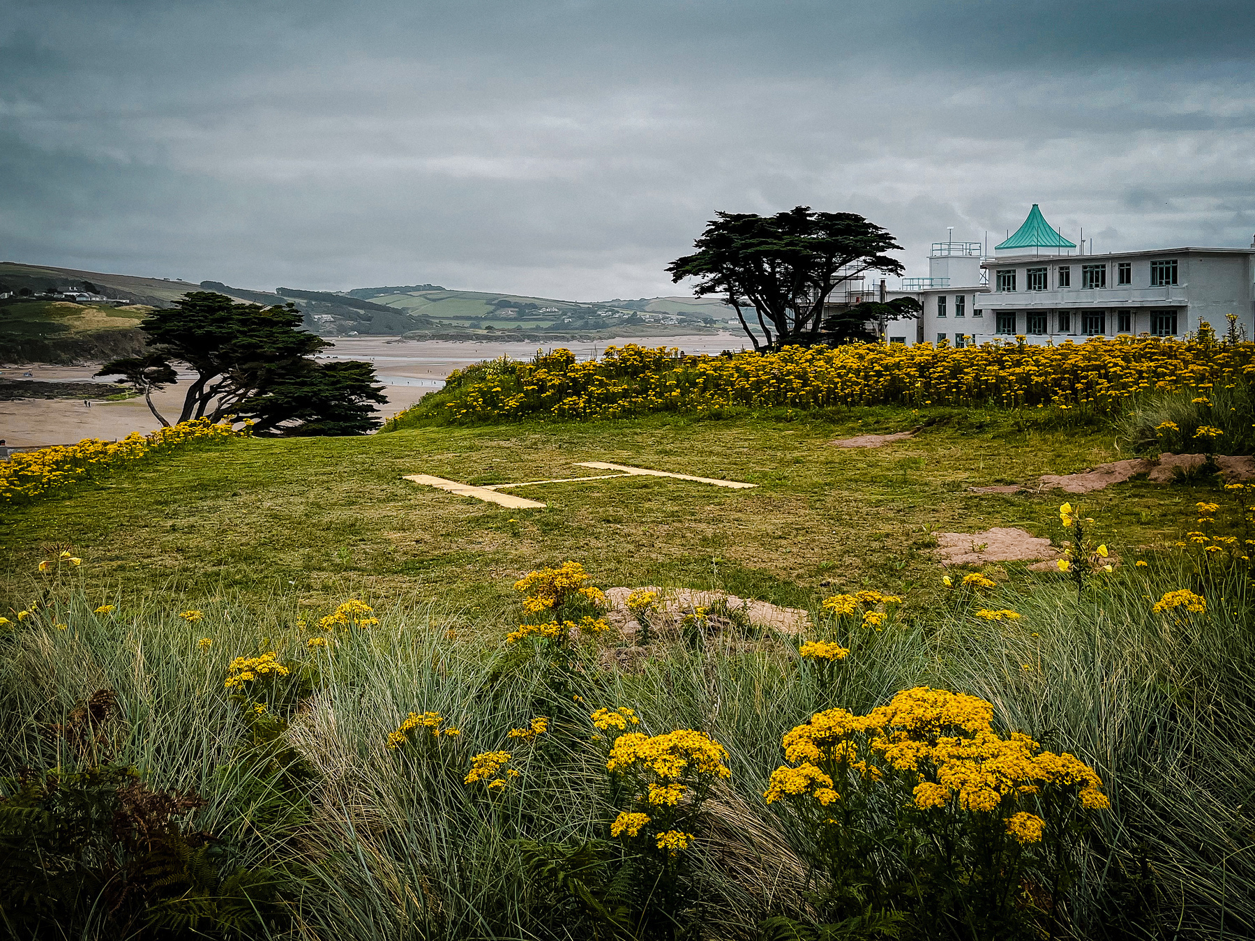 Grass helipad surrounded by bright yellow ragwort in front of the Burgh Island Hotel. Grey skies behind.