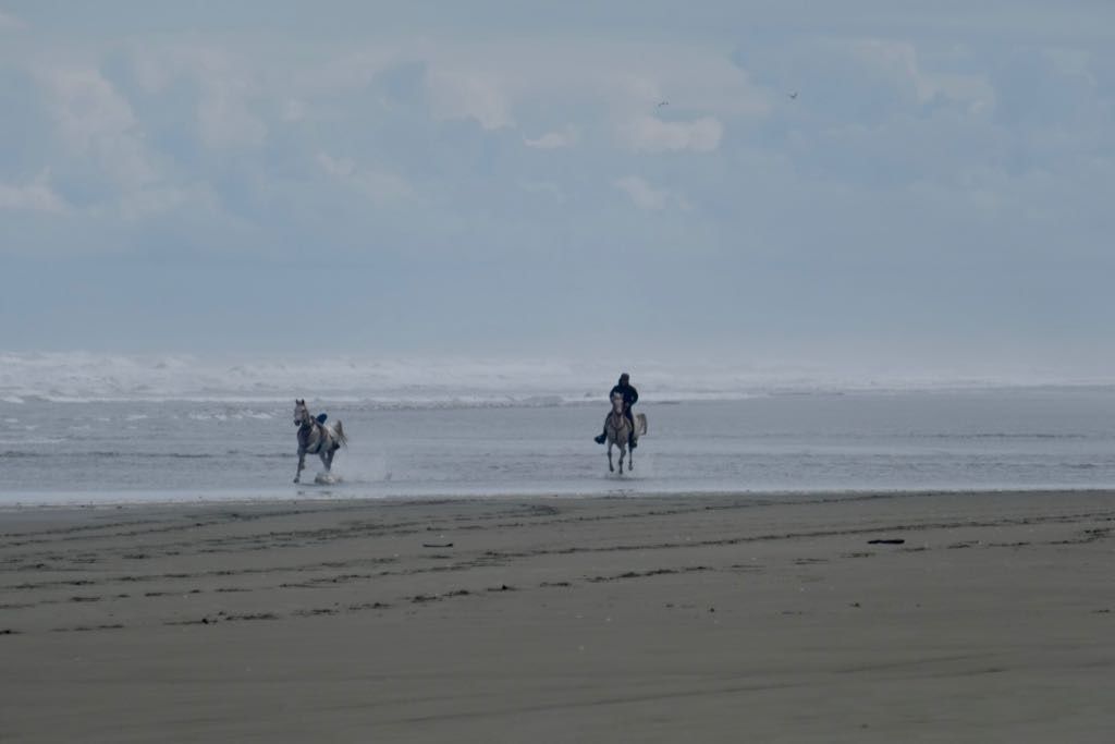 One horse being ridden in shallow water, the other horse bolting riderless. 