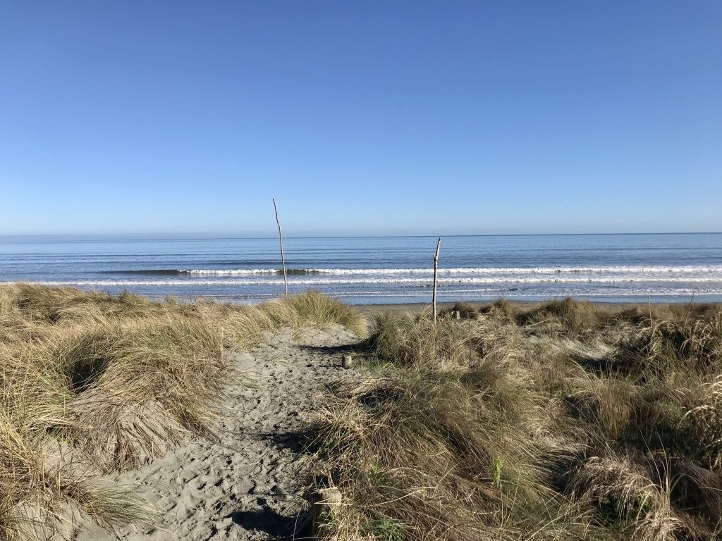 A sandy path leads through grassy dunes towards a calm ocean under a clear blue sky.