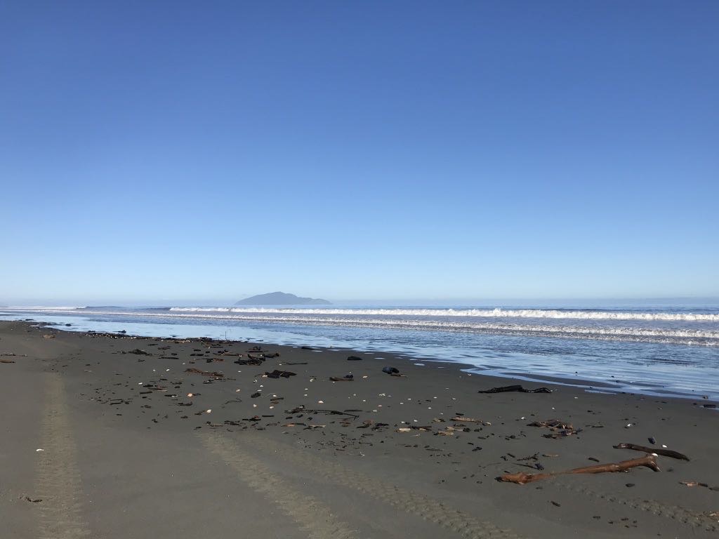 A sandy beach with scattered driftwood and debris stretches along the shoreline under a clear blue sky with distant mountains visible across the water.