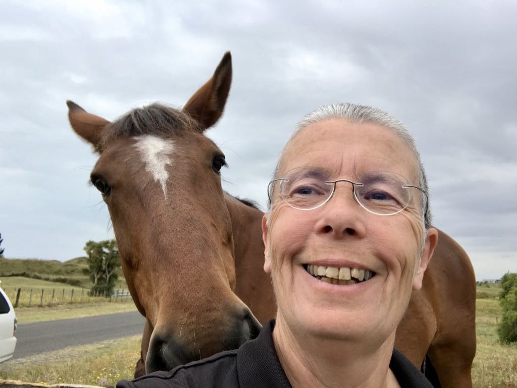 Selfie with large horse. 