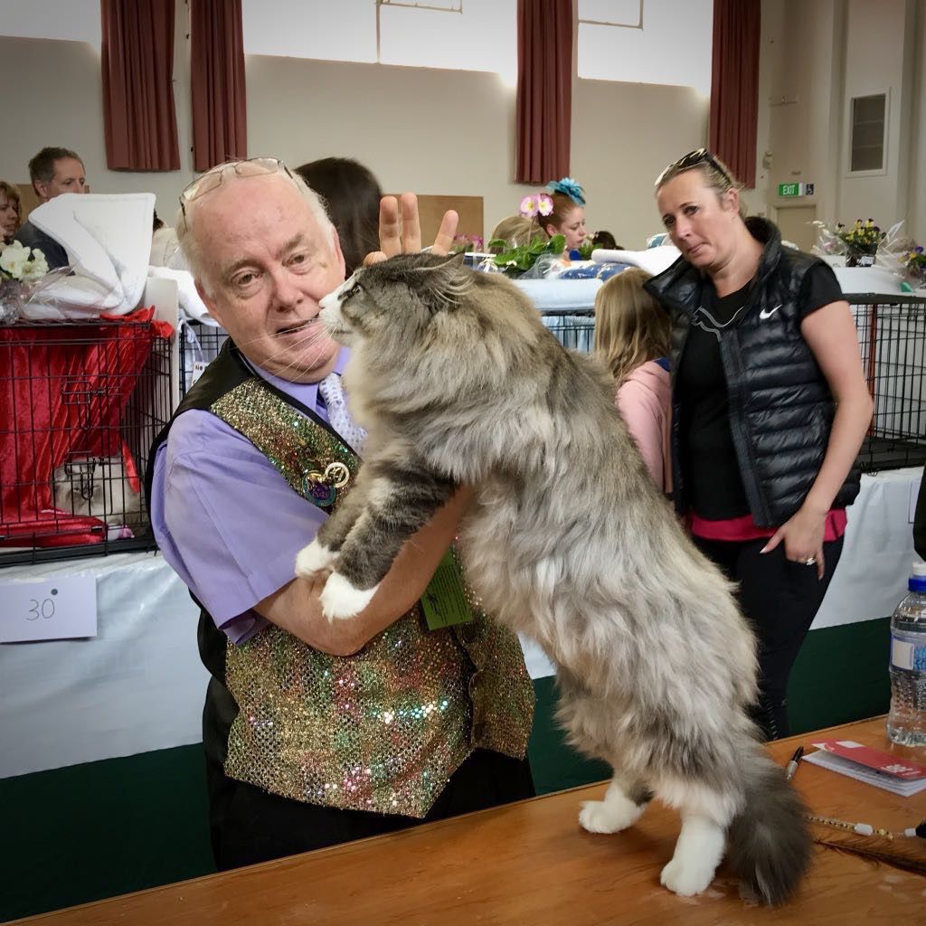 An older man wearing a sequin vest is holding and examining a large, fluffy cat that is standing on a table while a few people watch in the background.