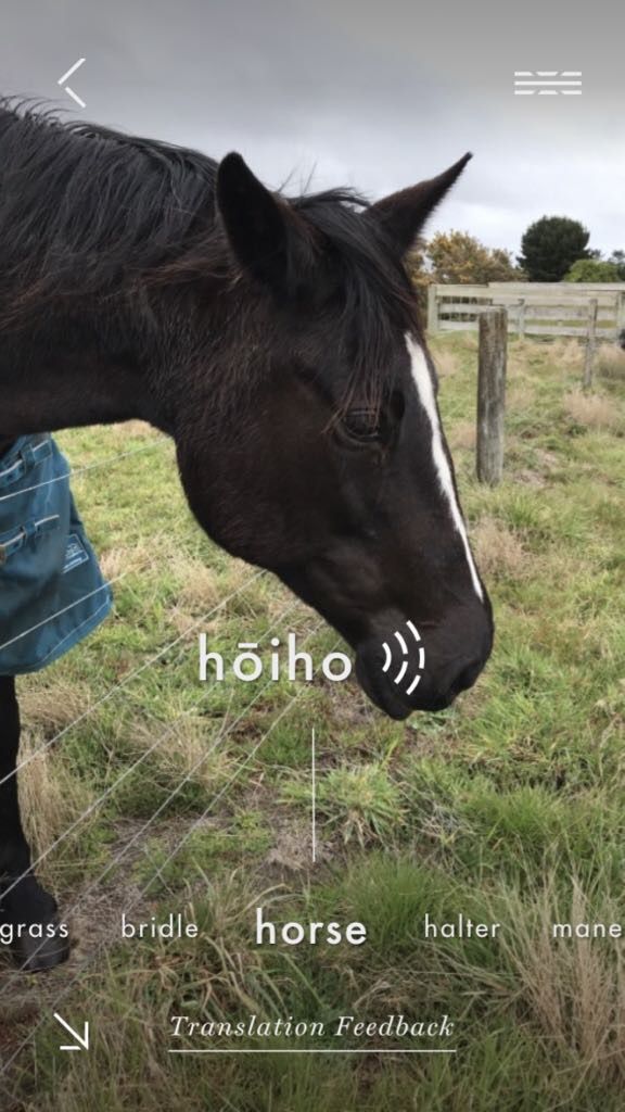 A close-up of a horse with a white stripe on its face standing in a grassy field near a fence.
