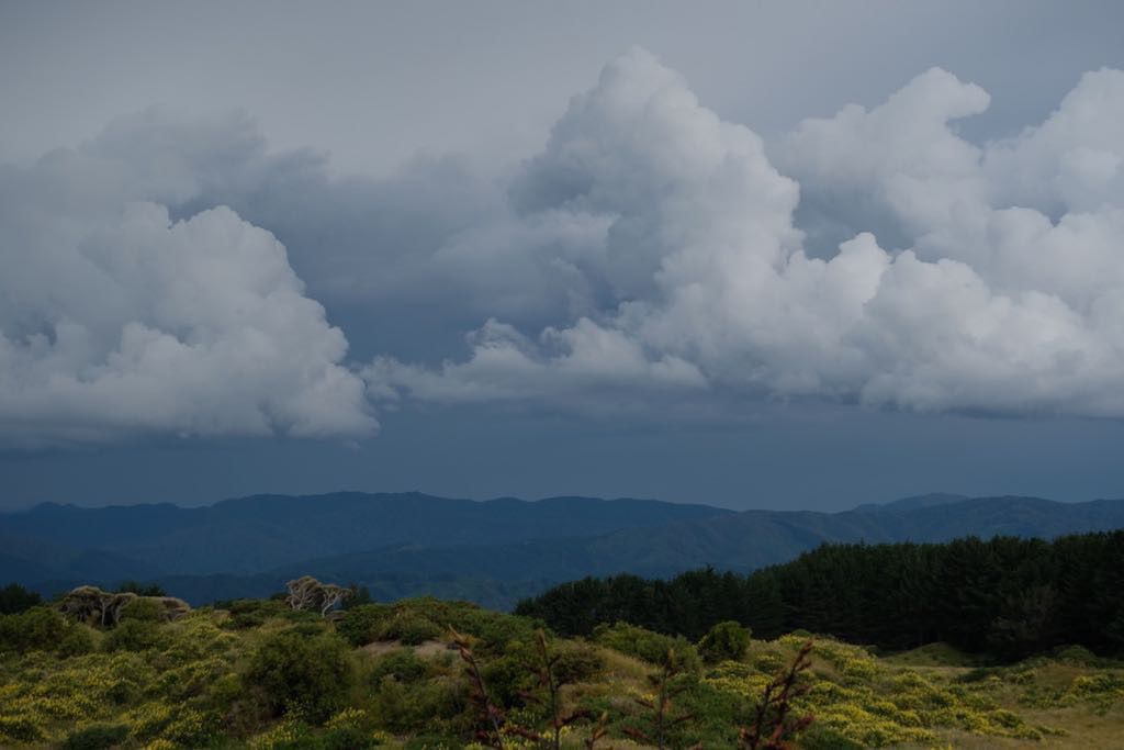 Tall fluffy clouds. 