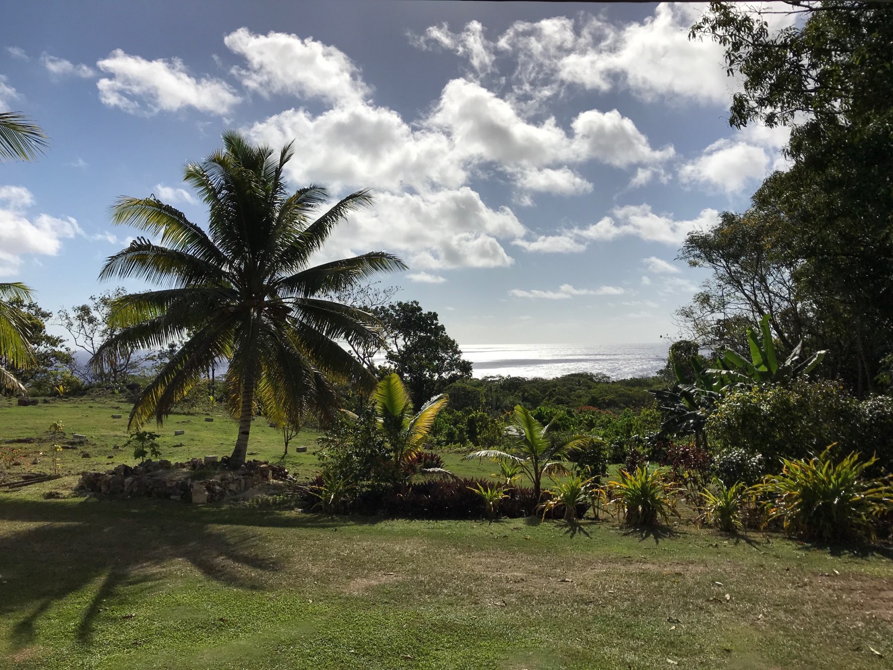 A tropical landscape features palm trees, green vegetation, and an ocean view under a partly cloudy sky.